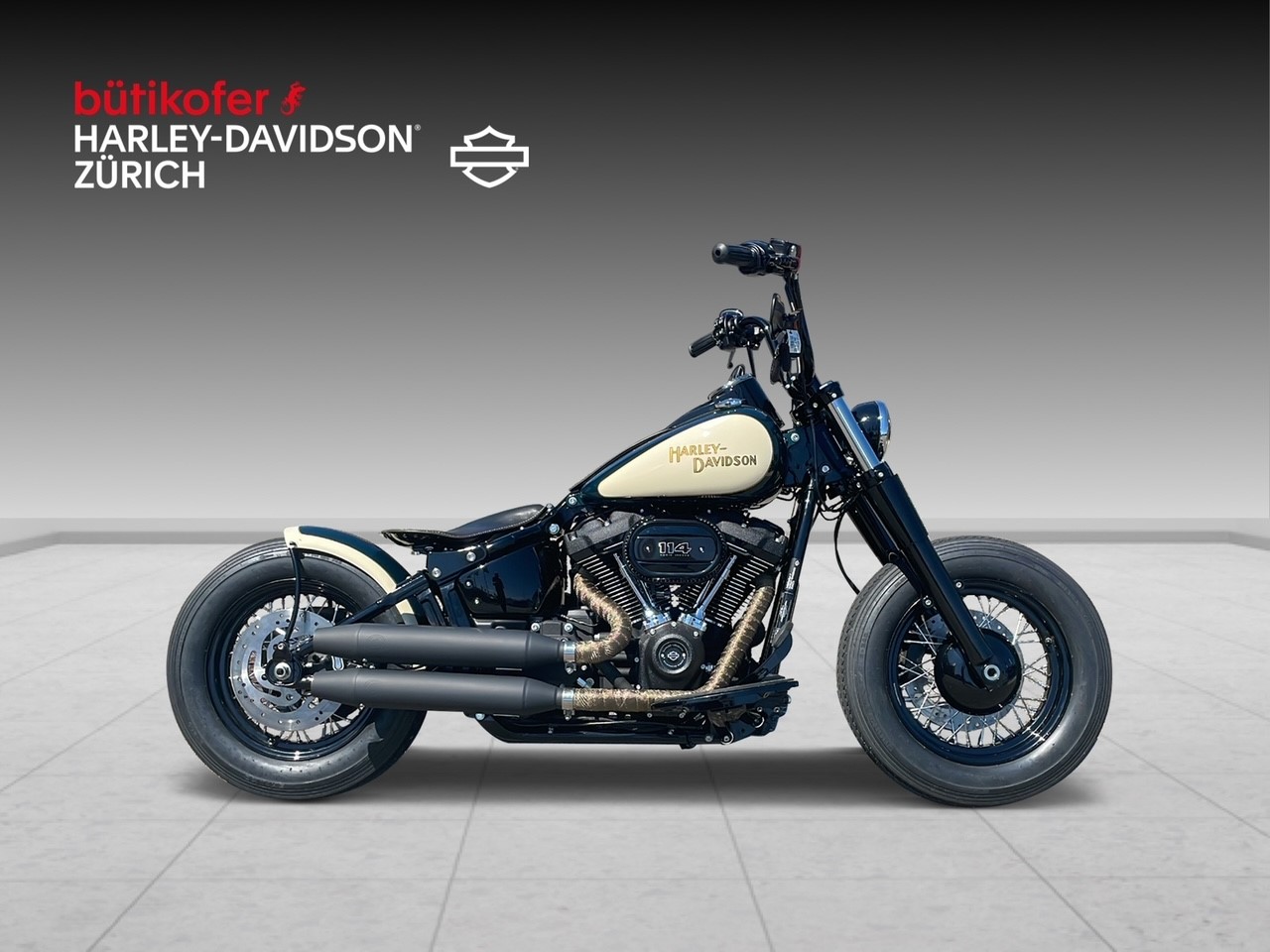 HARLEY-DAVIDSON FLHCS Heritage Classic 114 Black Finish
