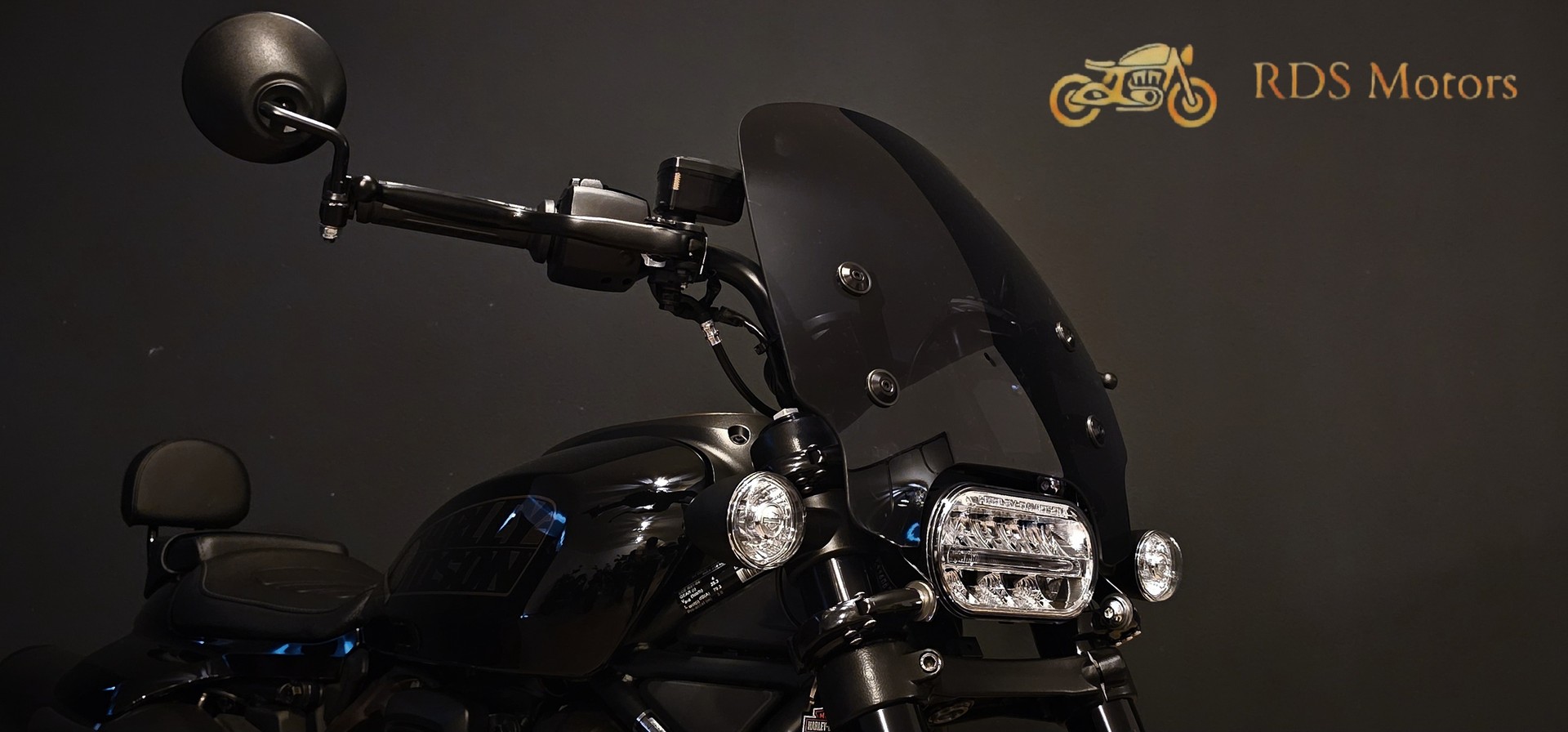 HARLEY-DAVIDSON RH 1250 Sportster S-image-9