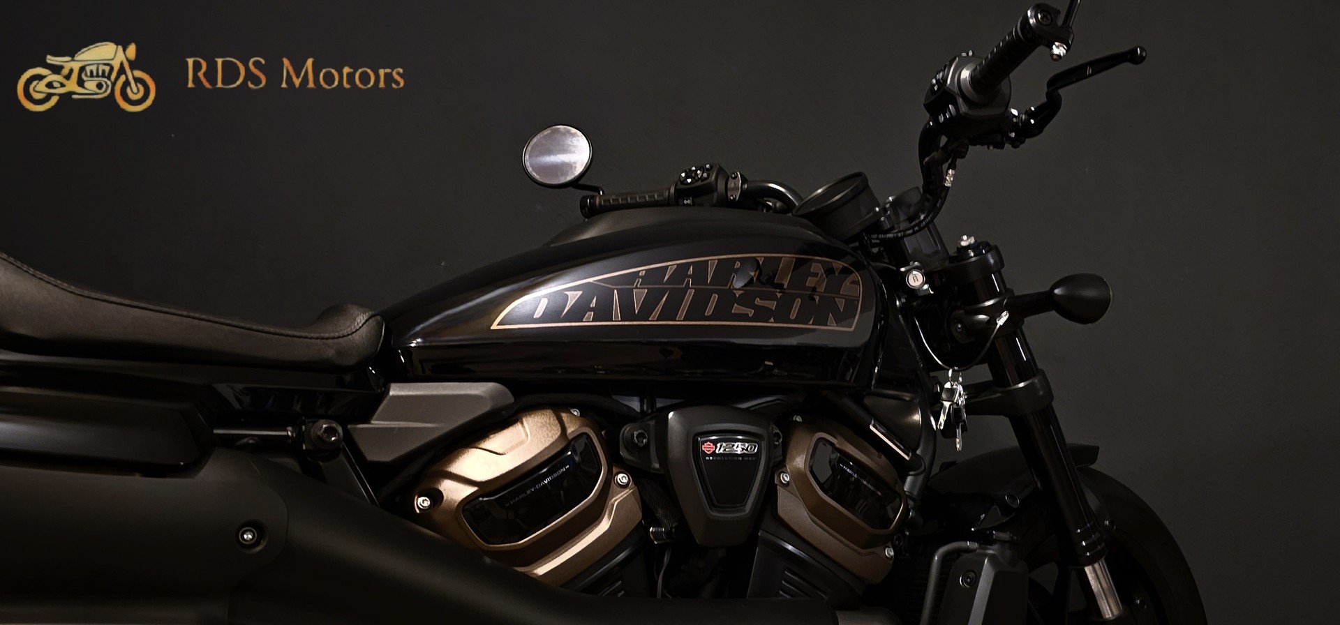 HARLEY-DAVIDSON RH 1250 Sportster S-image-7