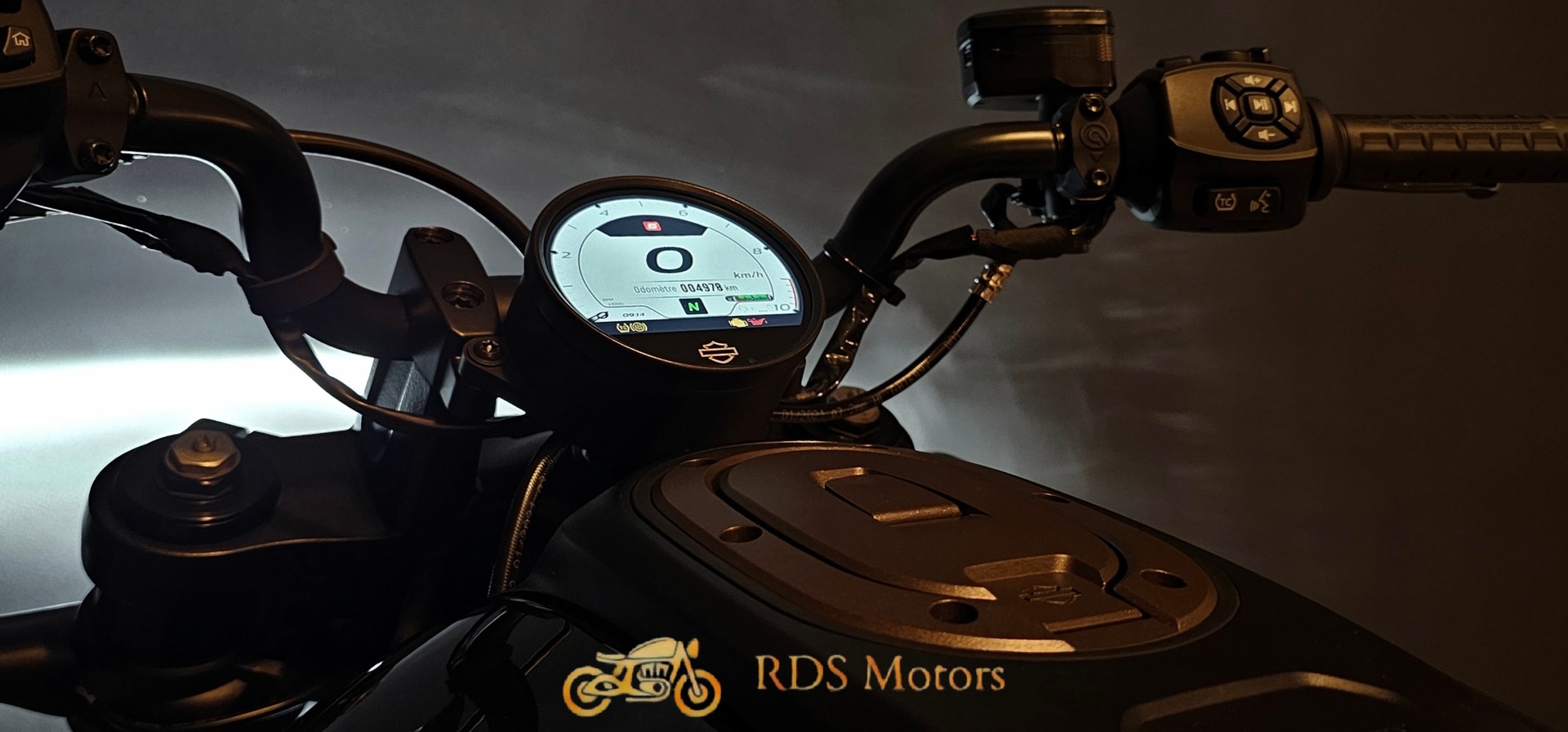 HARLEY-DAVIDSON RH 1250 Sportster S-image-8
