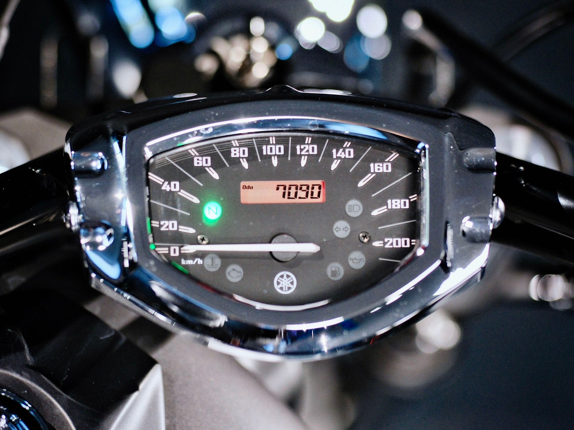 YAMAHA XVS 1300 Custom-image-15