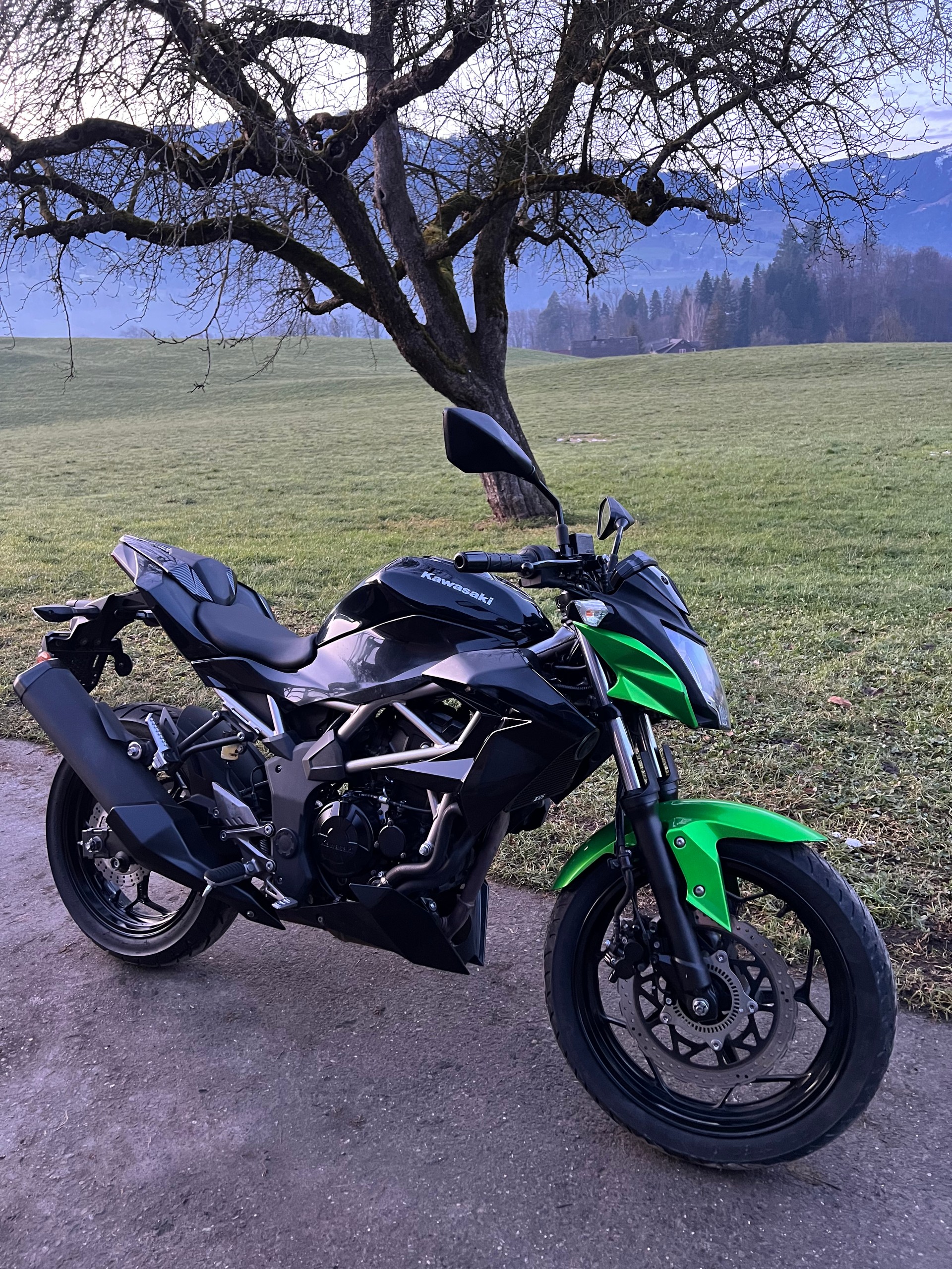 KAWASAKI Z 125