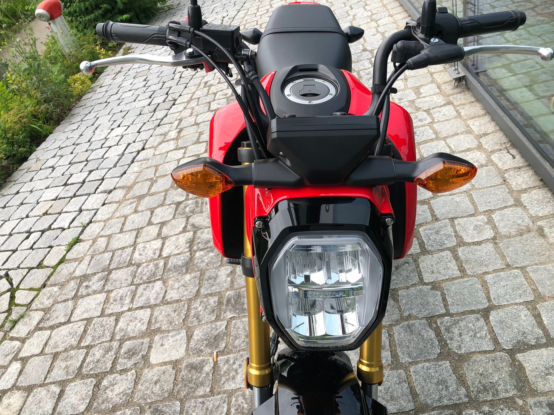 HONDA MSX 125-showroom-element-2