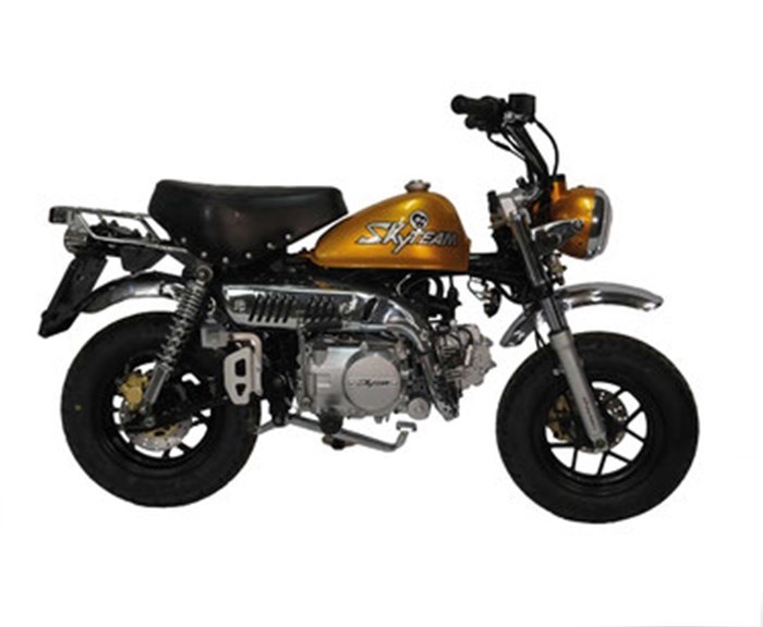 SKYTEAM SKY-MINI 125 EFI