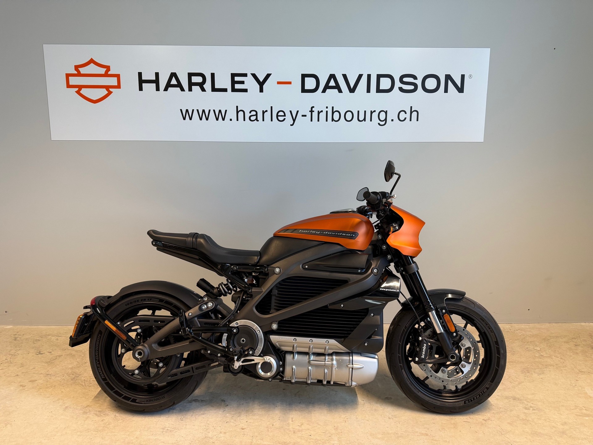 HARLEY-DAVIDSON Live Wire