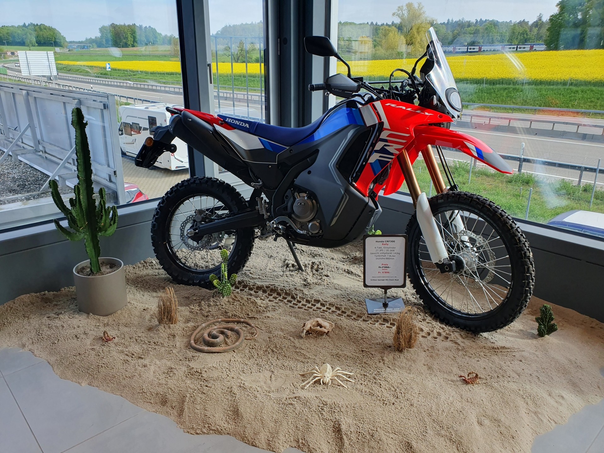 HONDA CRF300 Rally 2025