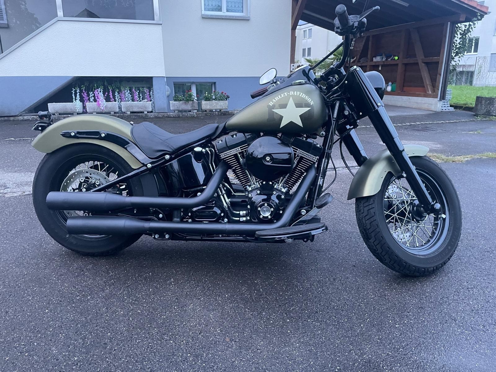 HARLEY-DAVIDSON FLSS Softail Slim S110 ABS