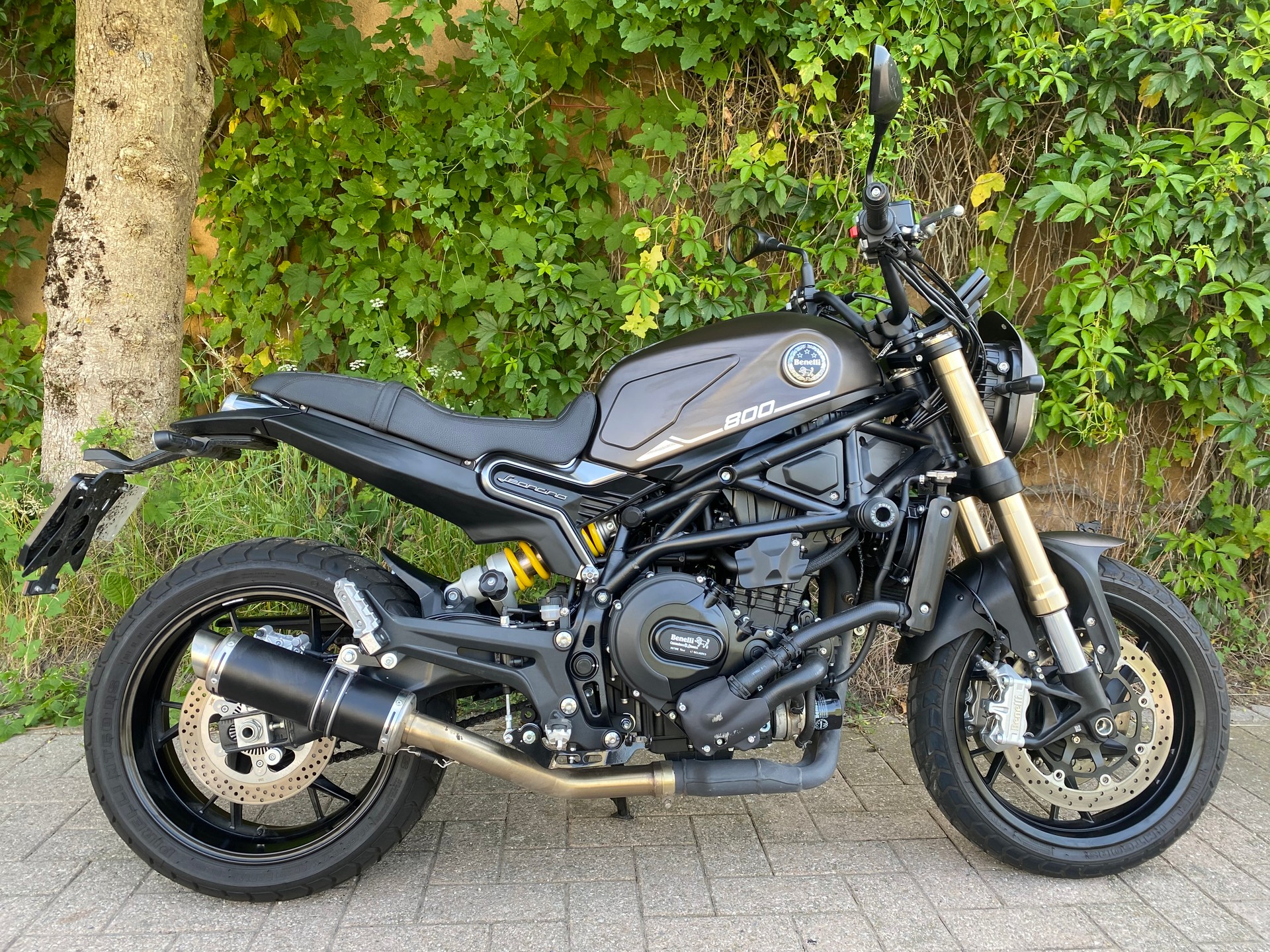 BENELLI Leoncino 800 (35kW)-image-0