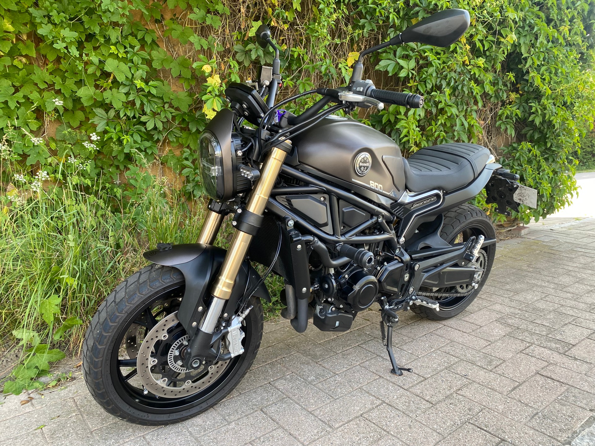 BENELLI Leoncino 800 (35kW)-image-4