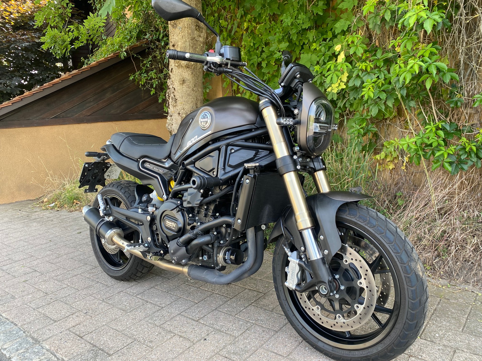 BENELLI Leoncino 800 (35kW)-image-1