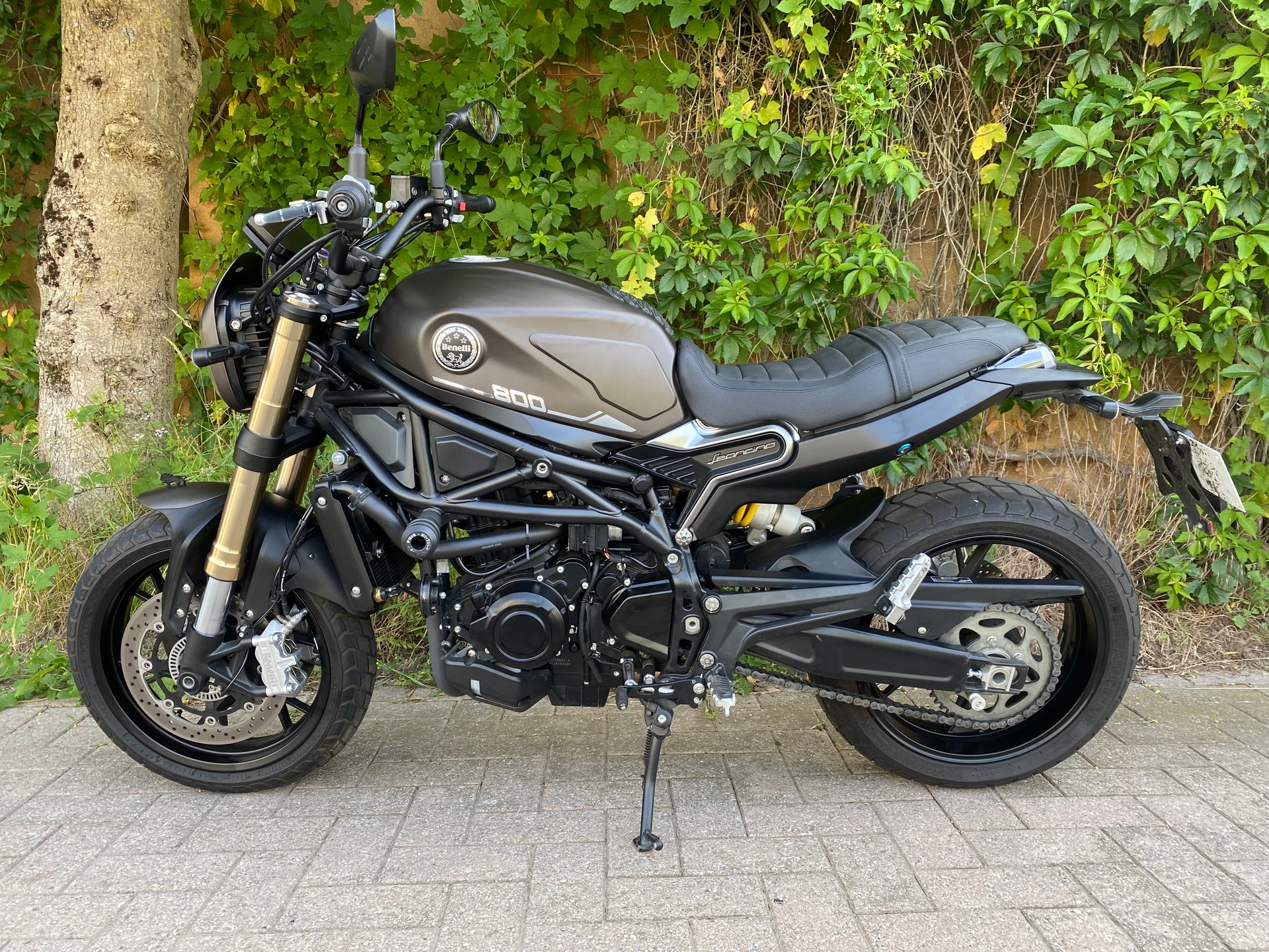 BENELLI Leoncino 800 (35kW)-image-5
