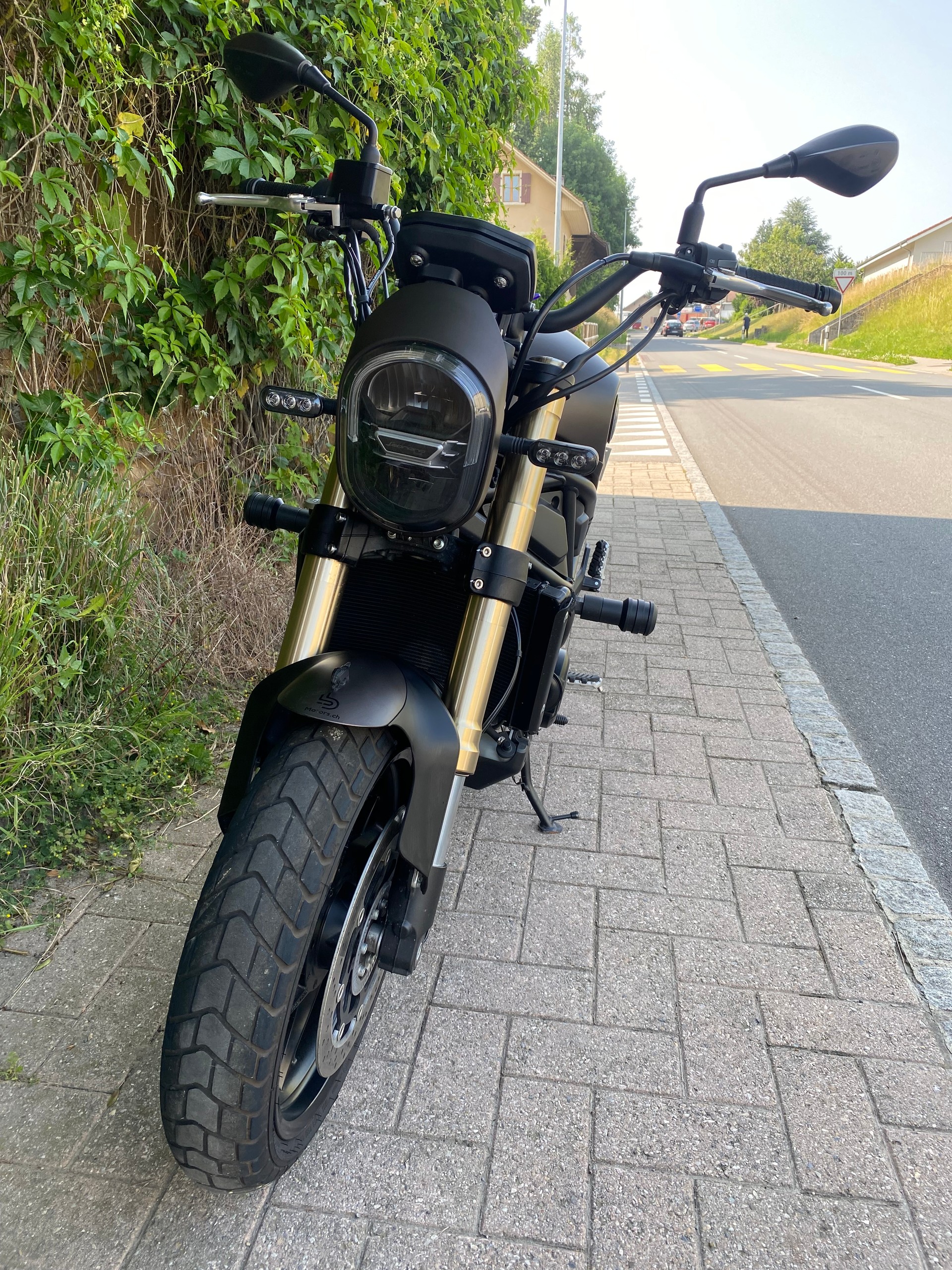 BENELLI Leoncino 800 (35kW)-image-3