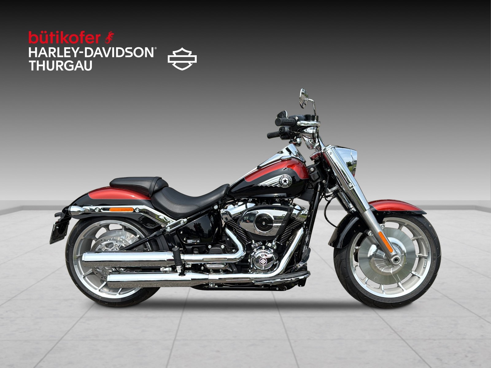 HARLEY-DAVIDSON FLFB Fat Boy 117-showroom-element-1
