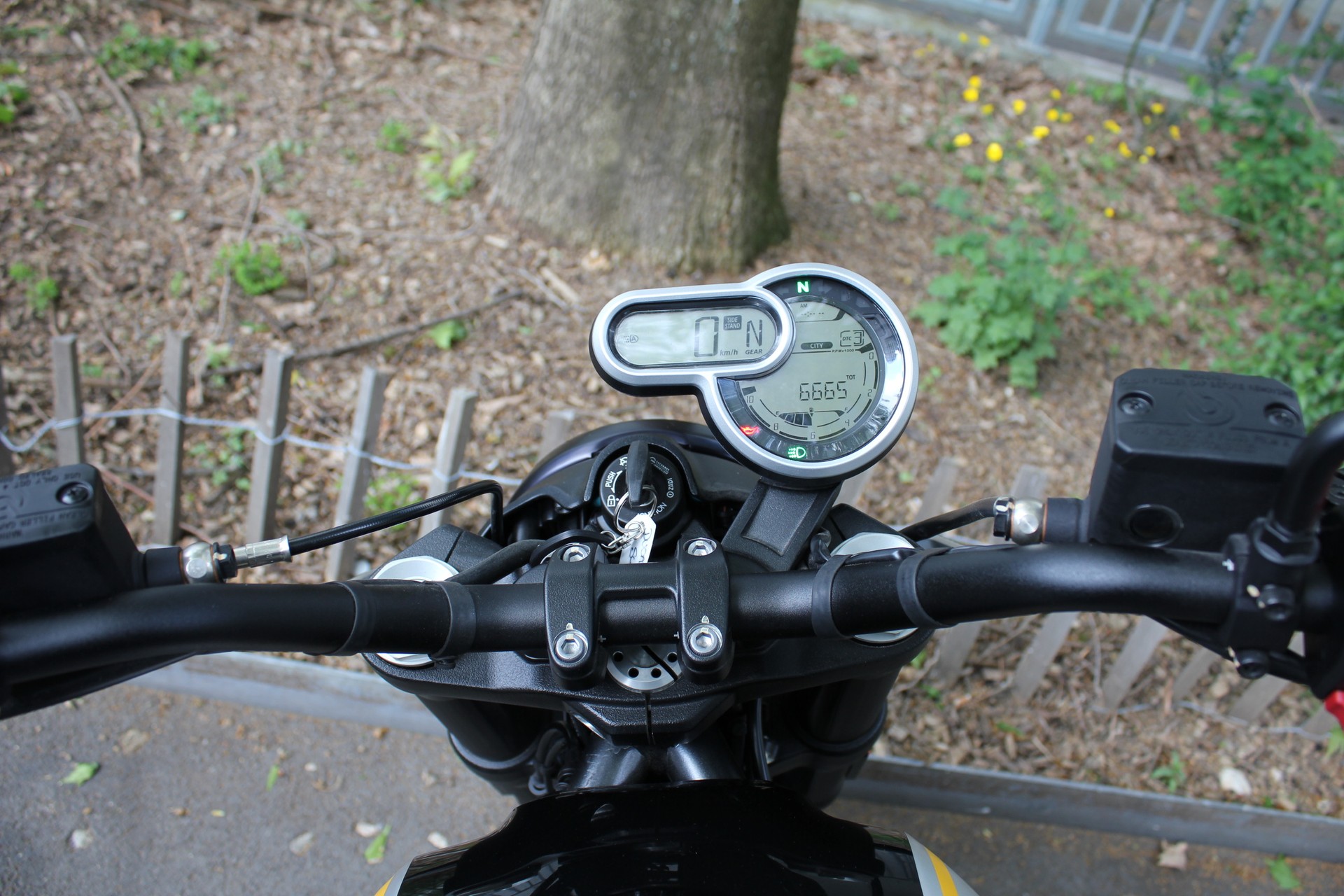 DUCATI SCRAMBLER 1100-image-4