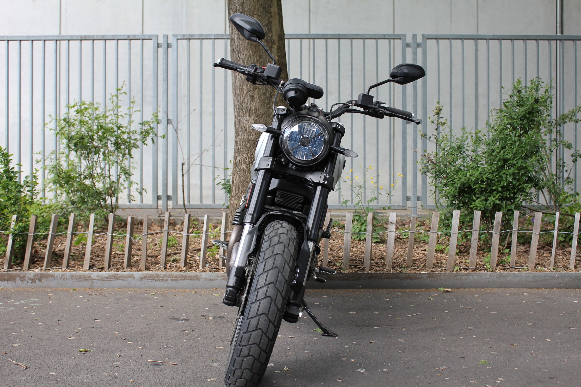 DUCATI SCRAMBLER 1100-image-1