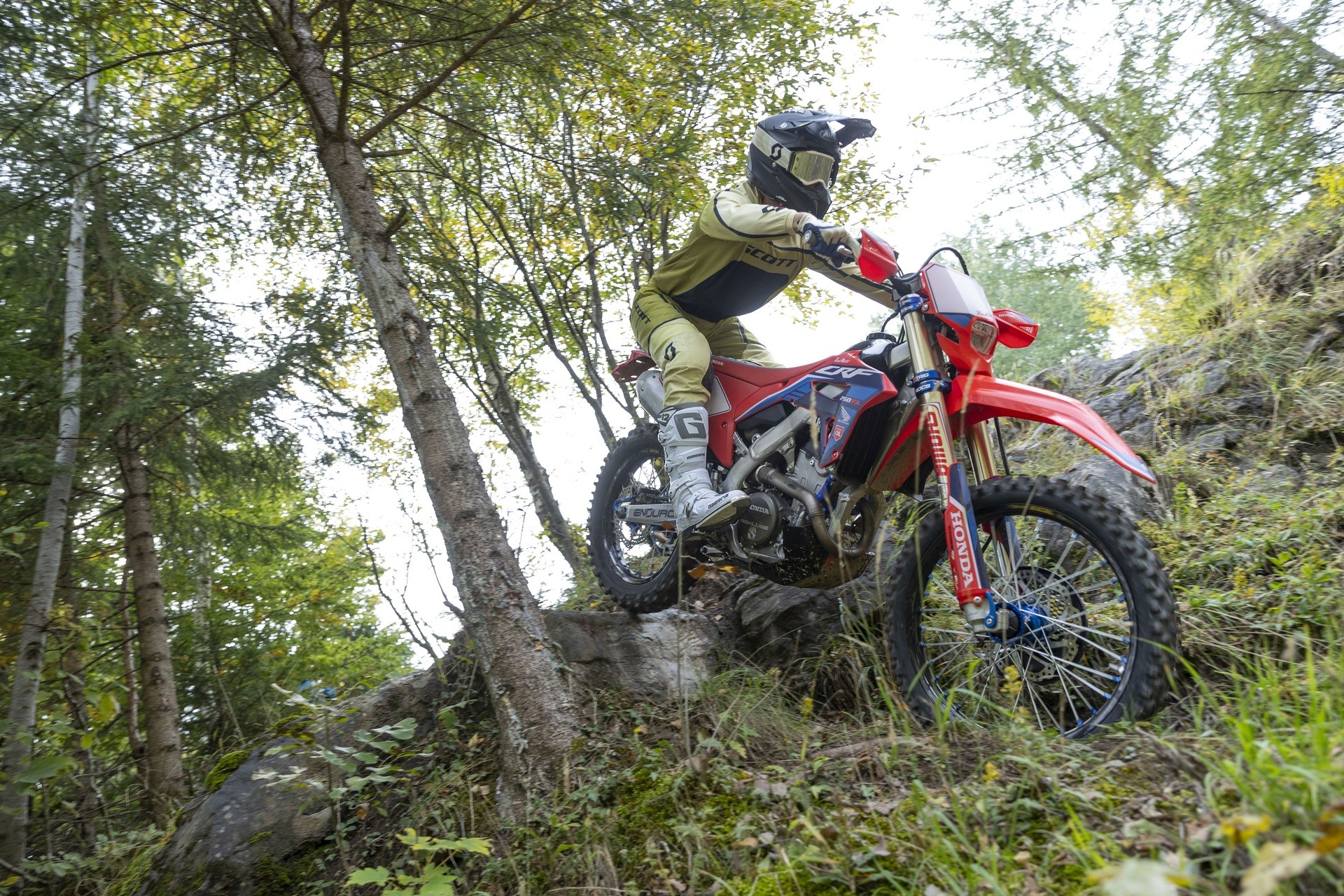 HONDA CRF250RX-image-8