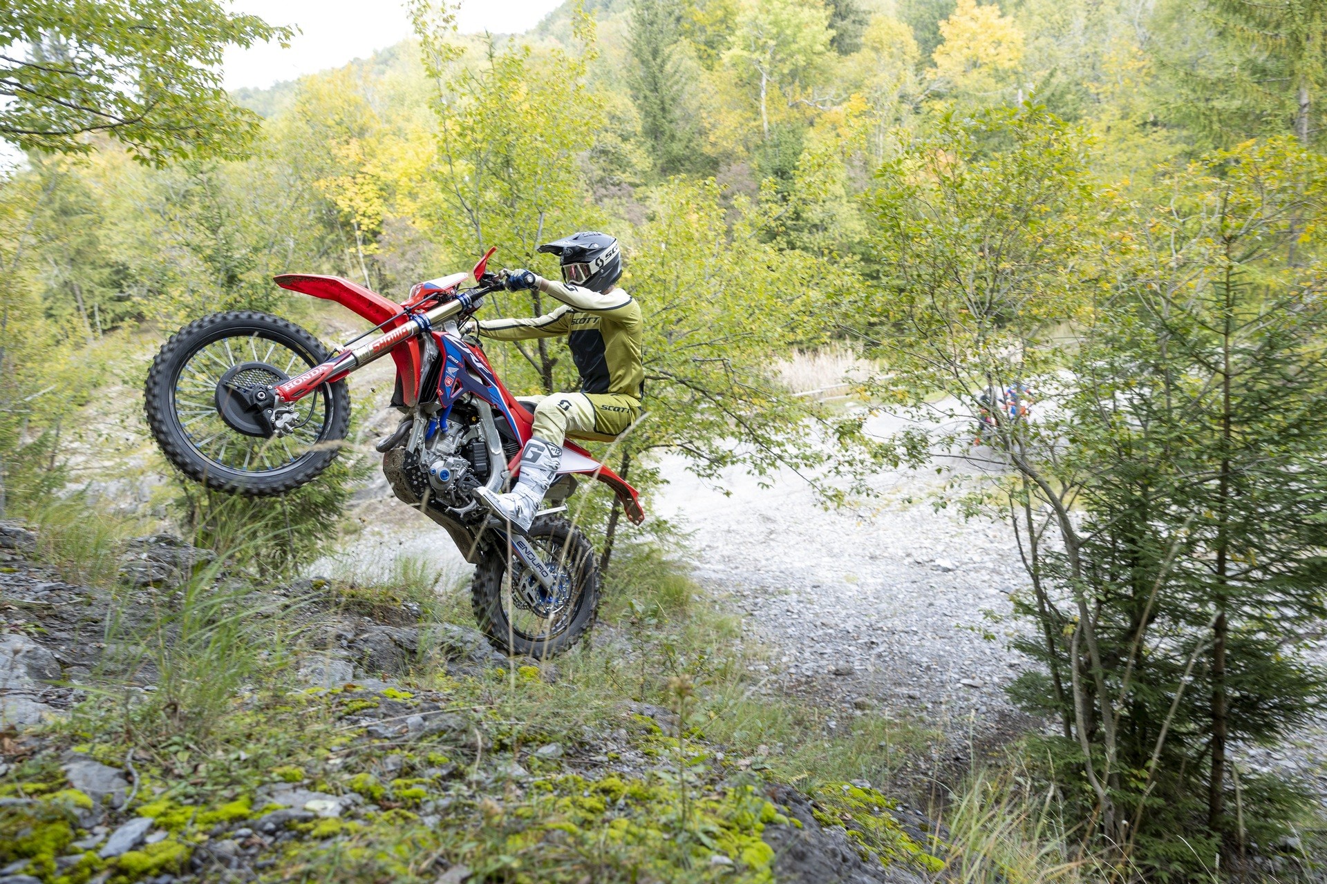HONDA CRF250RX-image-10