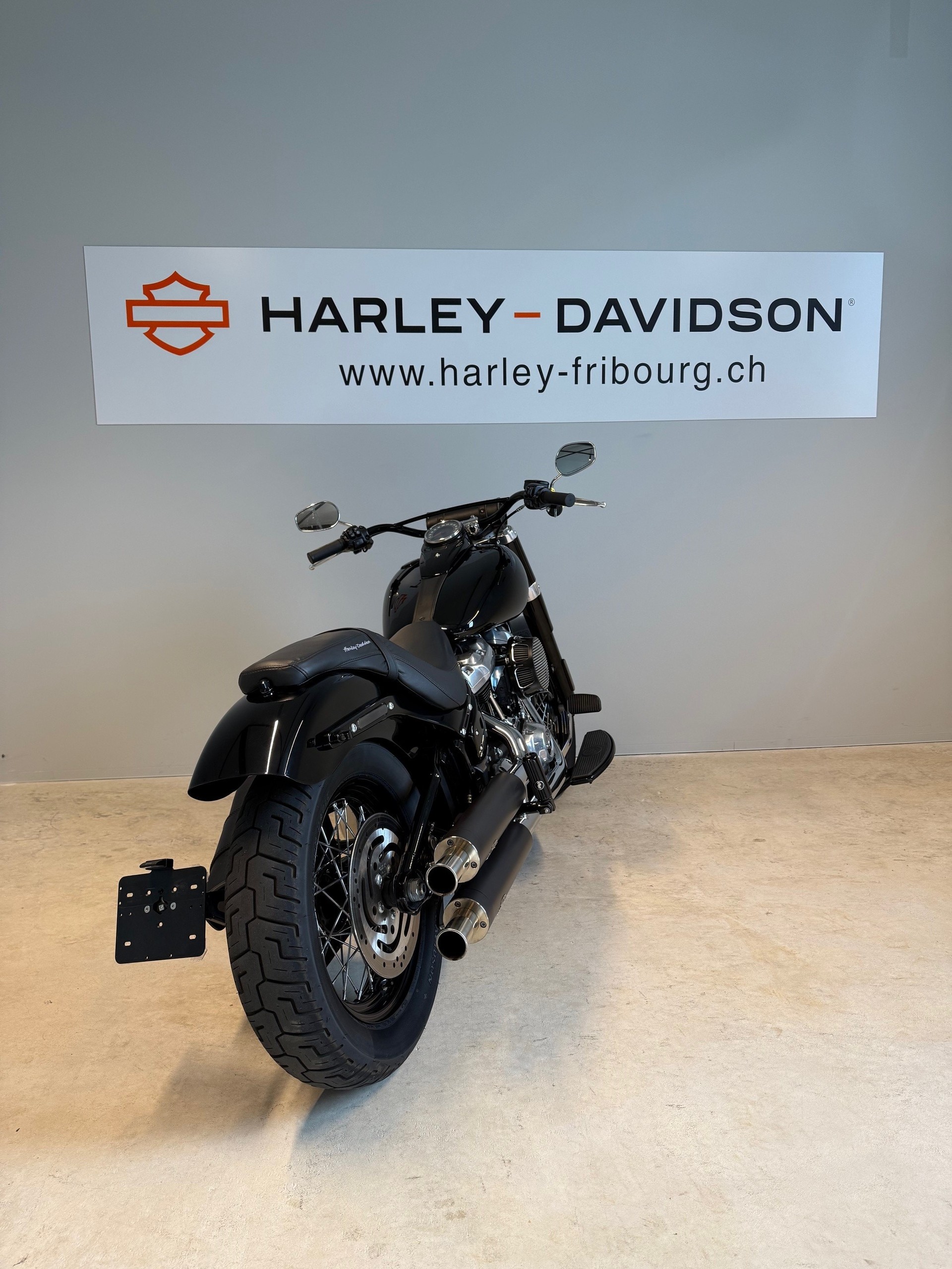 HARLEY-DAVIDSON FLSL Softail Slim 107-showroom-element-3