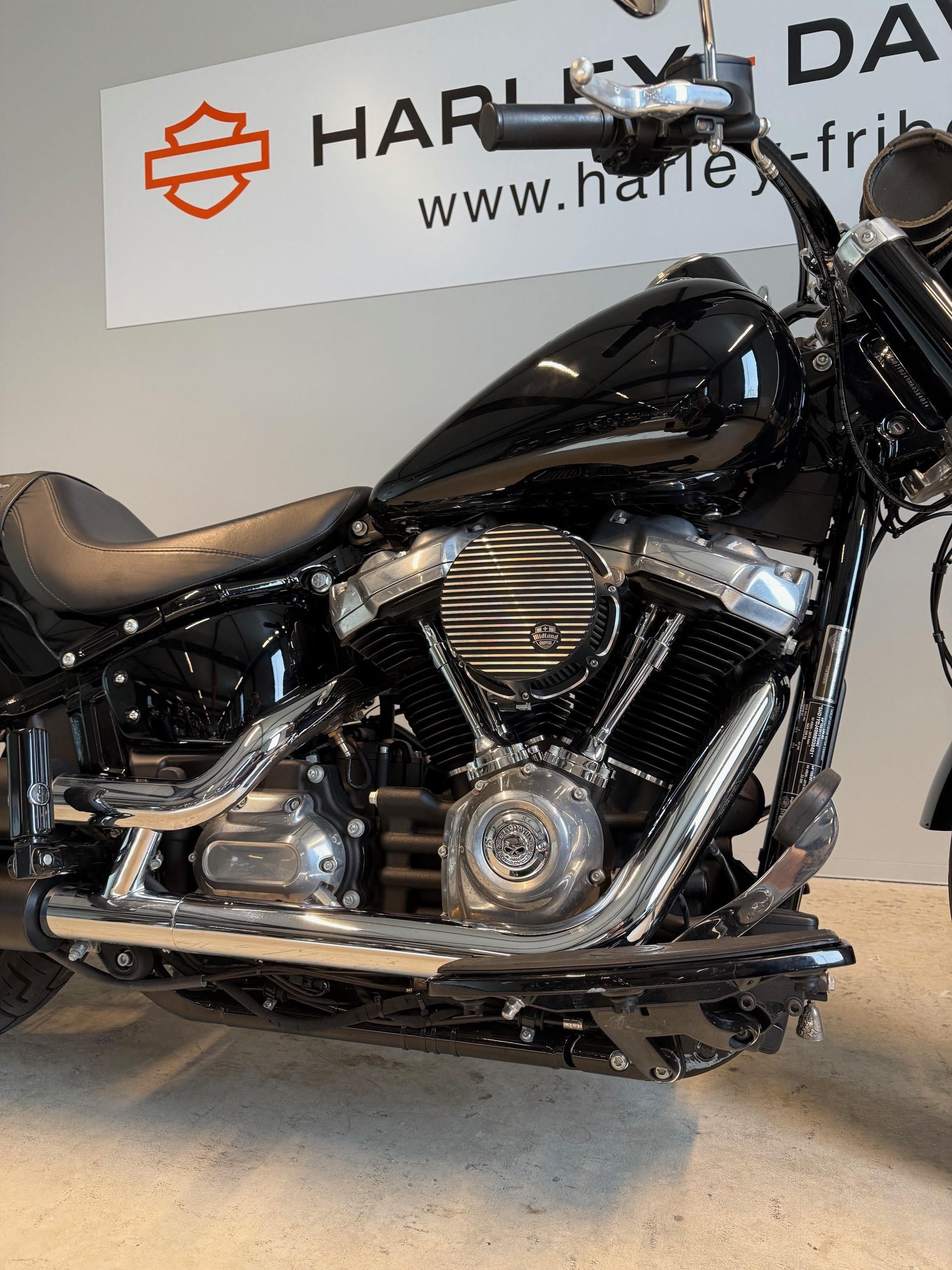 HARLEY-DAVIDSON FLSL Softail Slim 107-showroom-element-1