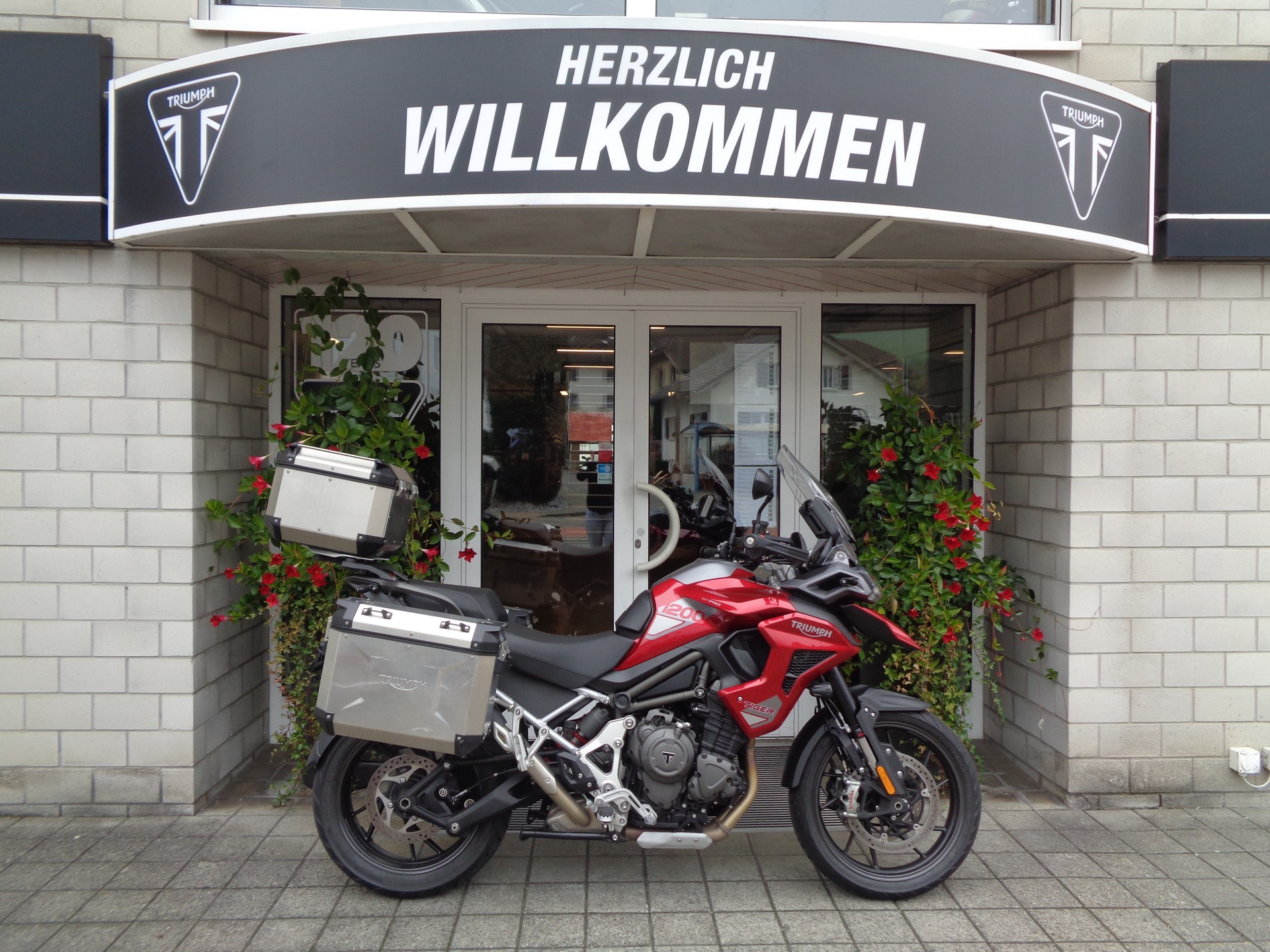TRIUMPH Tiger 1200 GT Pro