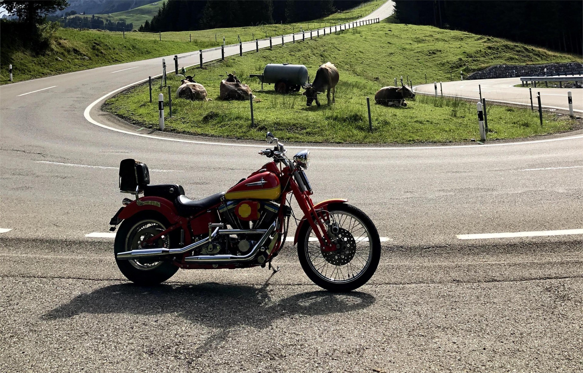 HARLEY-DAVIDSON Bad Boy-image-5