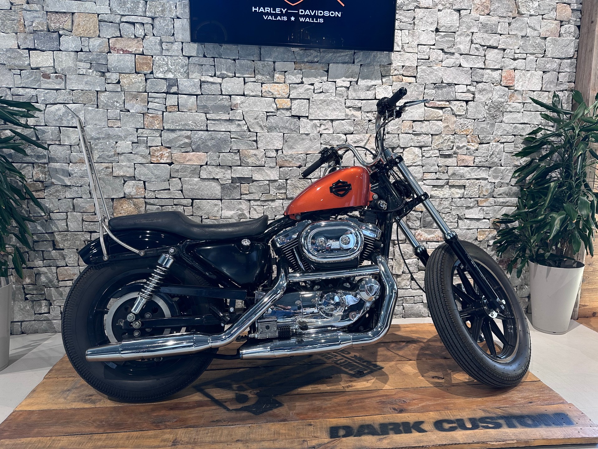 HARLEY-DAVIDSON XL 1200 C Sportster