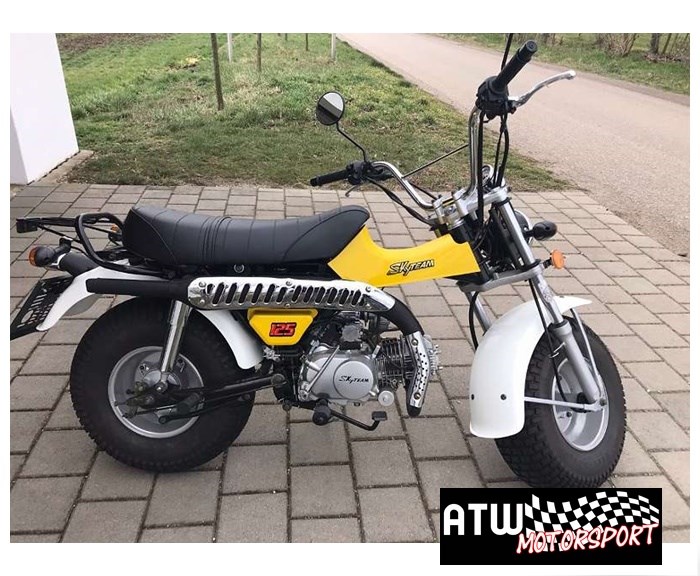 SKYTEAM T-REX 125 EFI-showroom-element-2