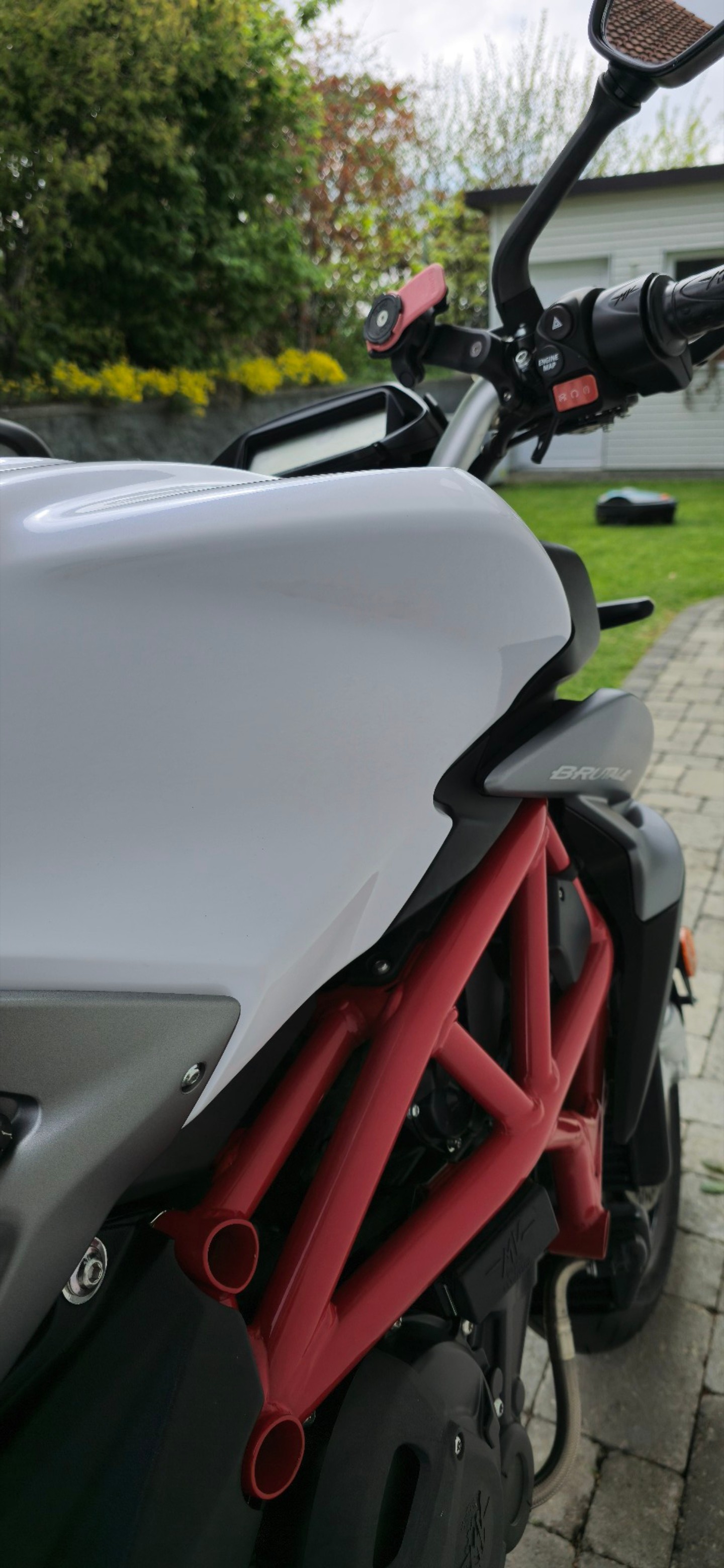 MV AGUSTA Brutale 800-image-8
