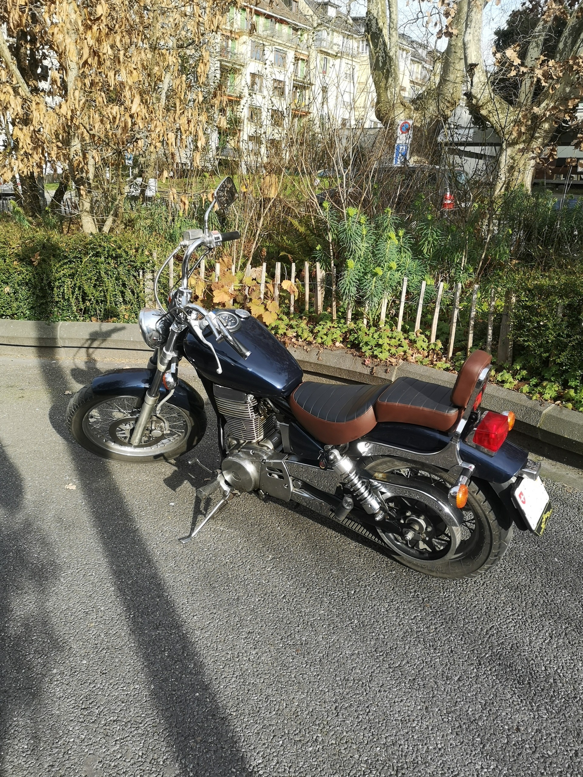 SUZUKI LS 650 P Savage