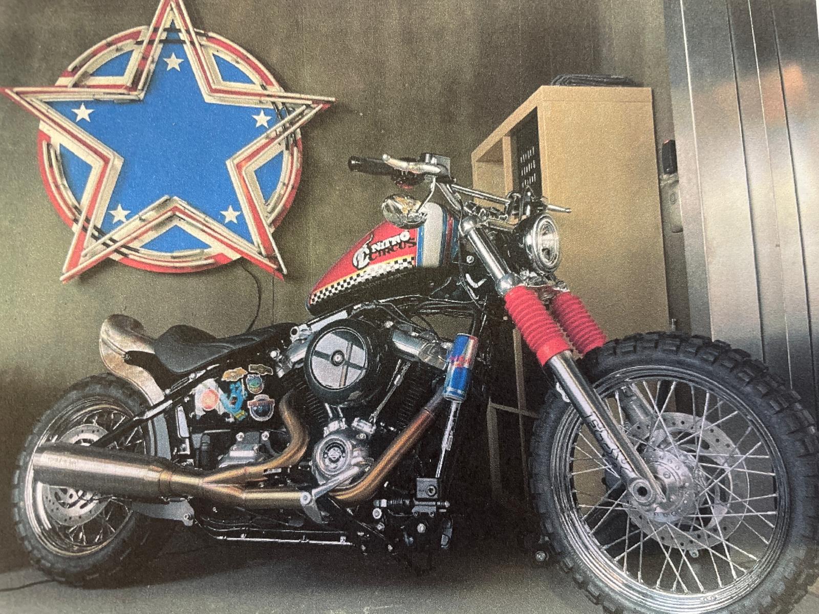 HARLEY-DAVIDSON FXST Softail Standard 107