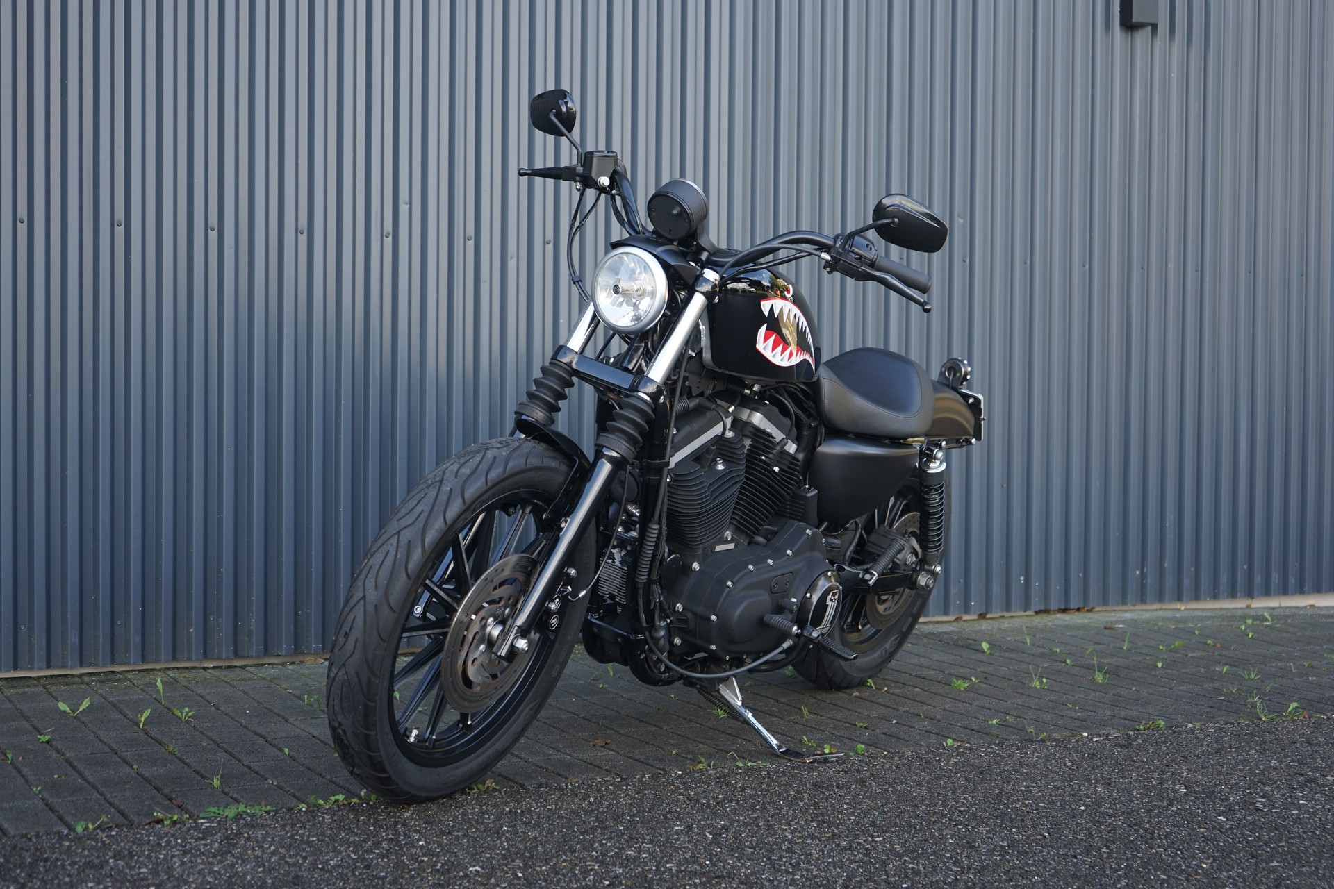 HARLEY-DAVIDSON XL 883 N Sportster Iron-showroom-element-2