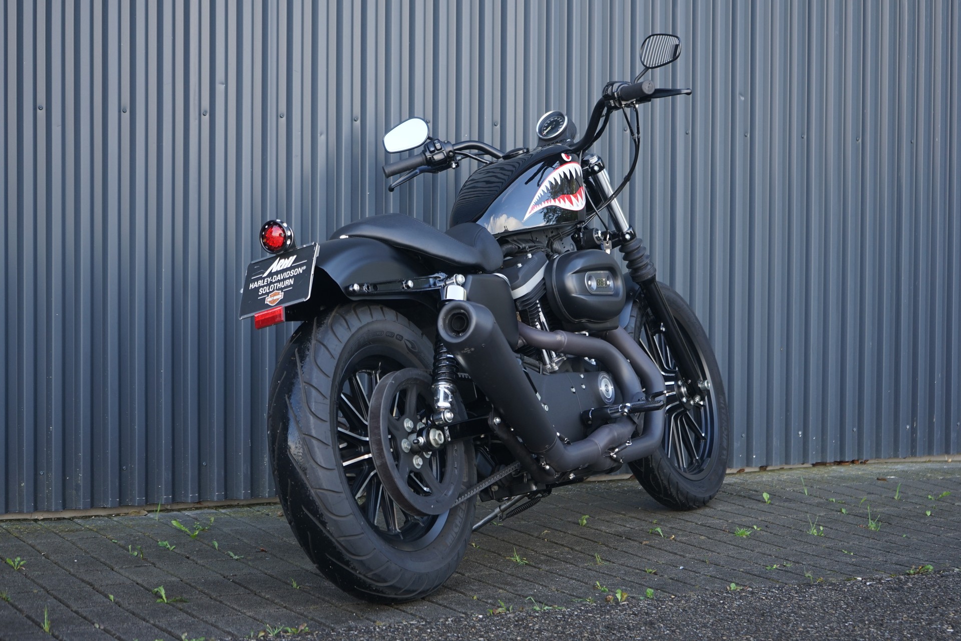 HARLEY-DAVIDSON XL 883 N Sportster Iron-showroom-element-3