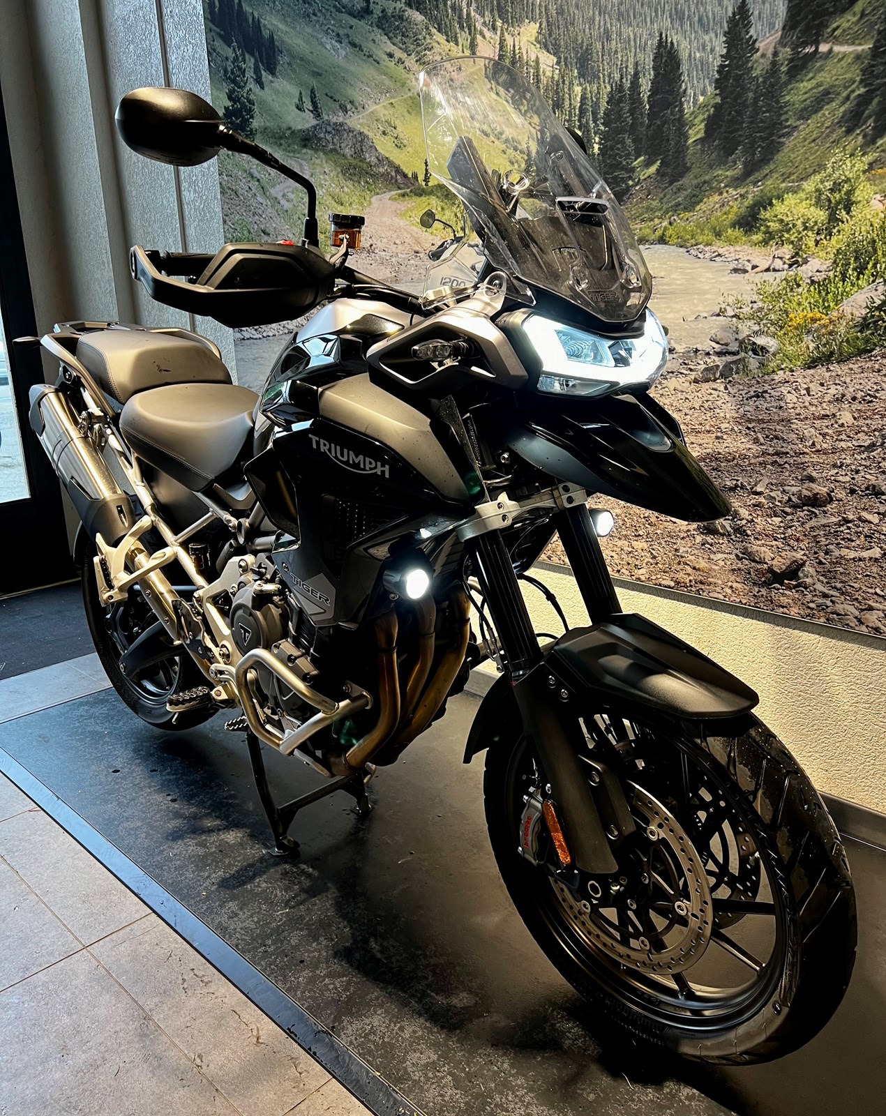 TRIUMPH Tiger 1200 GT Pro-image-1