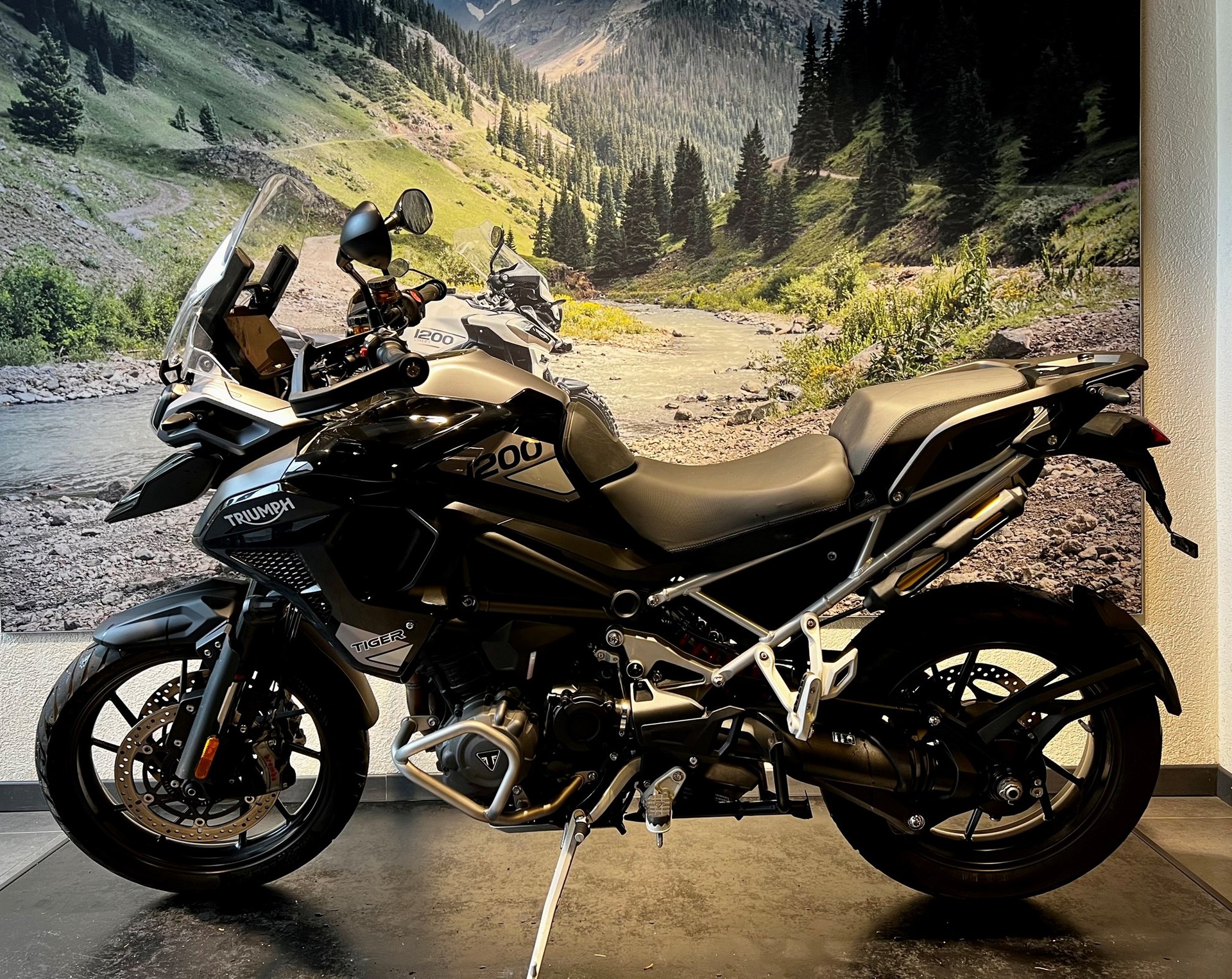 TRIUMPH Tiger 1200 GT Pro-image-2