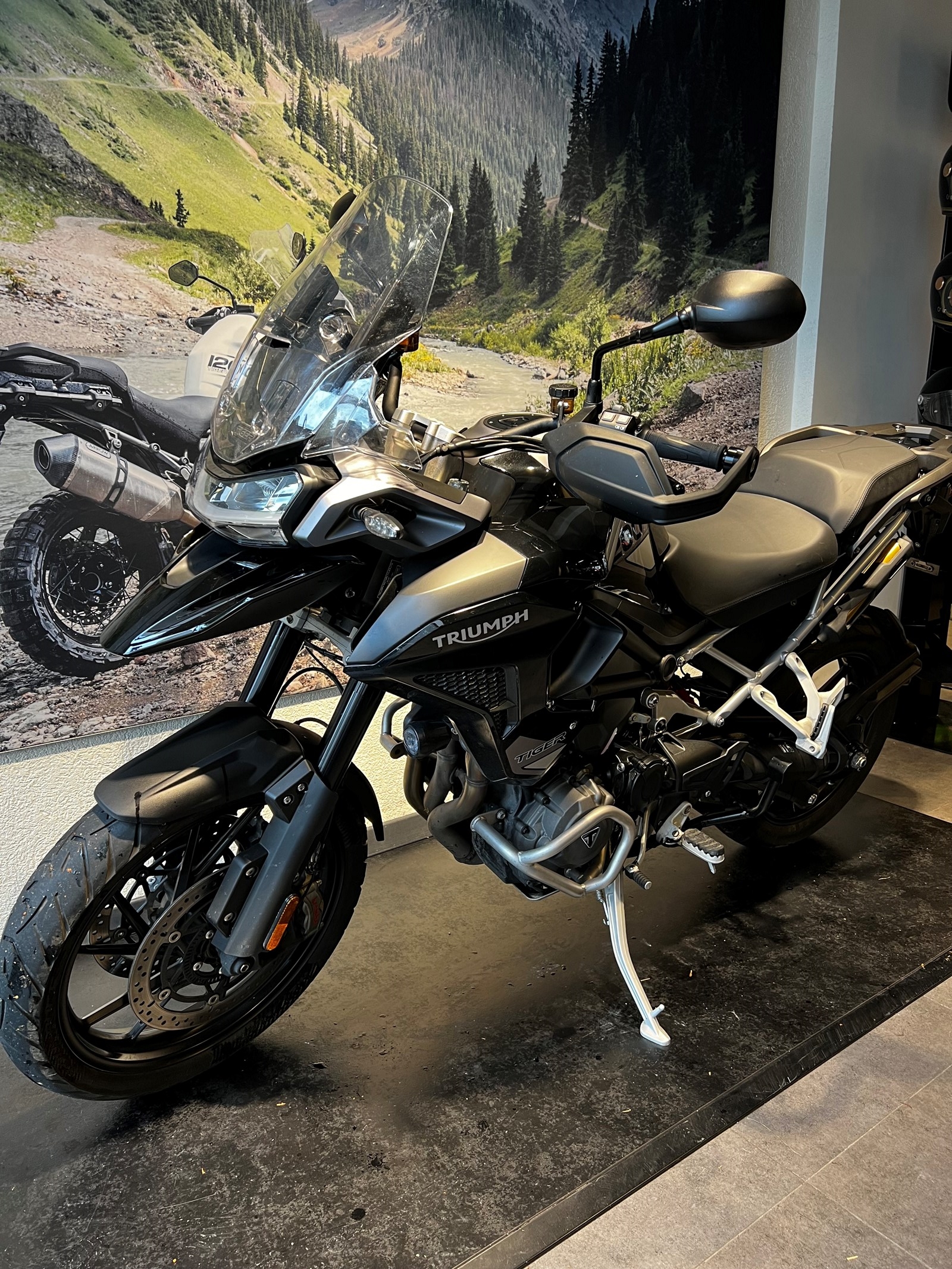 TRIUMPH Tiger 1200 GT Pro-image-4
