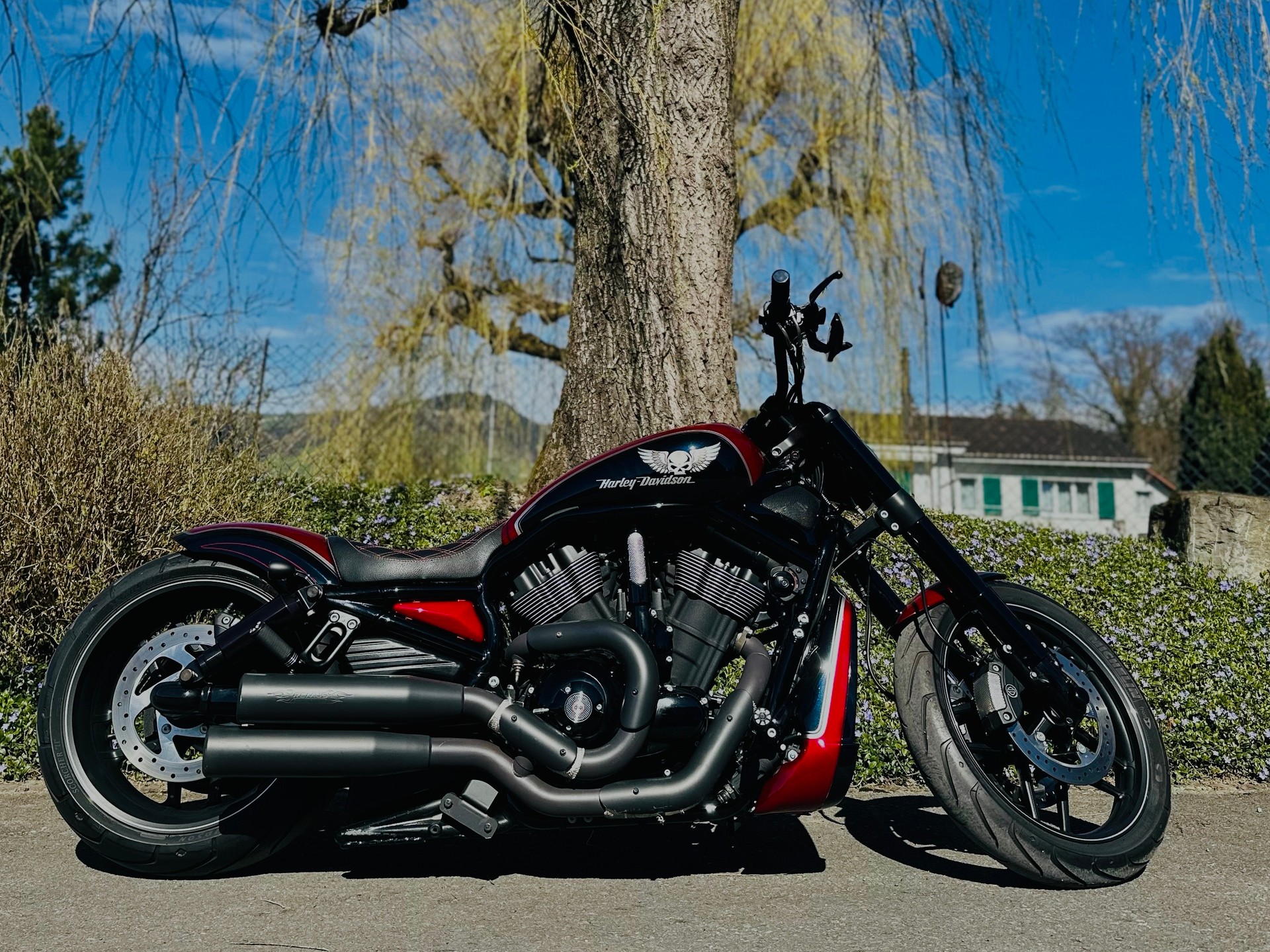 HARLEY-DAVIDSON VRSCDX Night Rod Special ABS