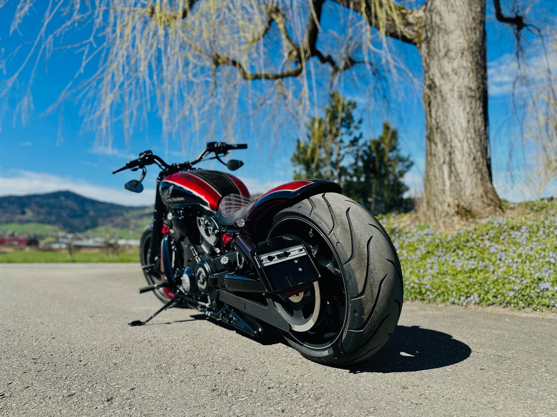 HARLEY-DAVIDSON VRSCDX Night Rod Special ABS-image-4
