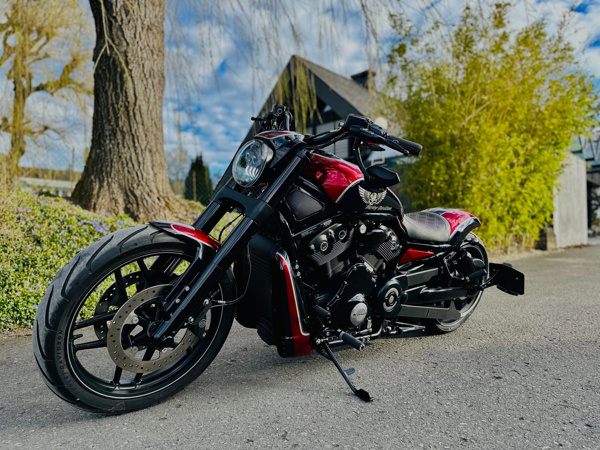 HARLEY-DAVIDSON VRSCDX Night Rod Special ABS-image-7