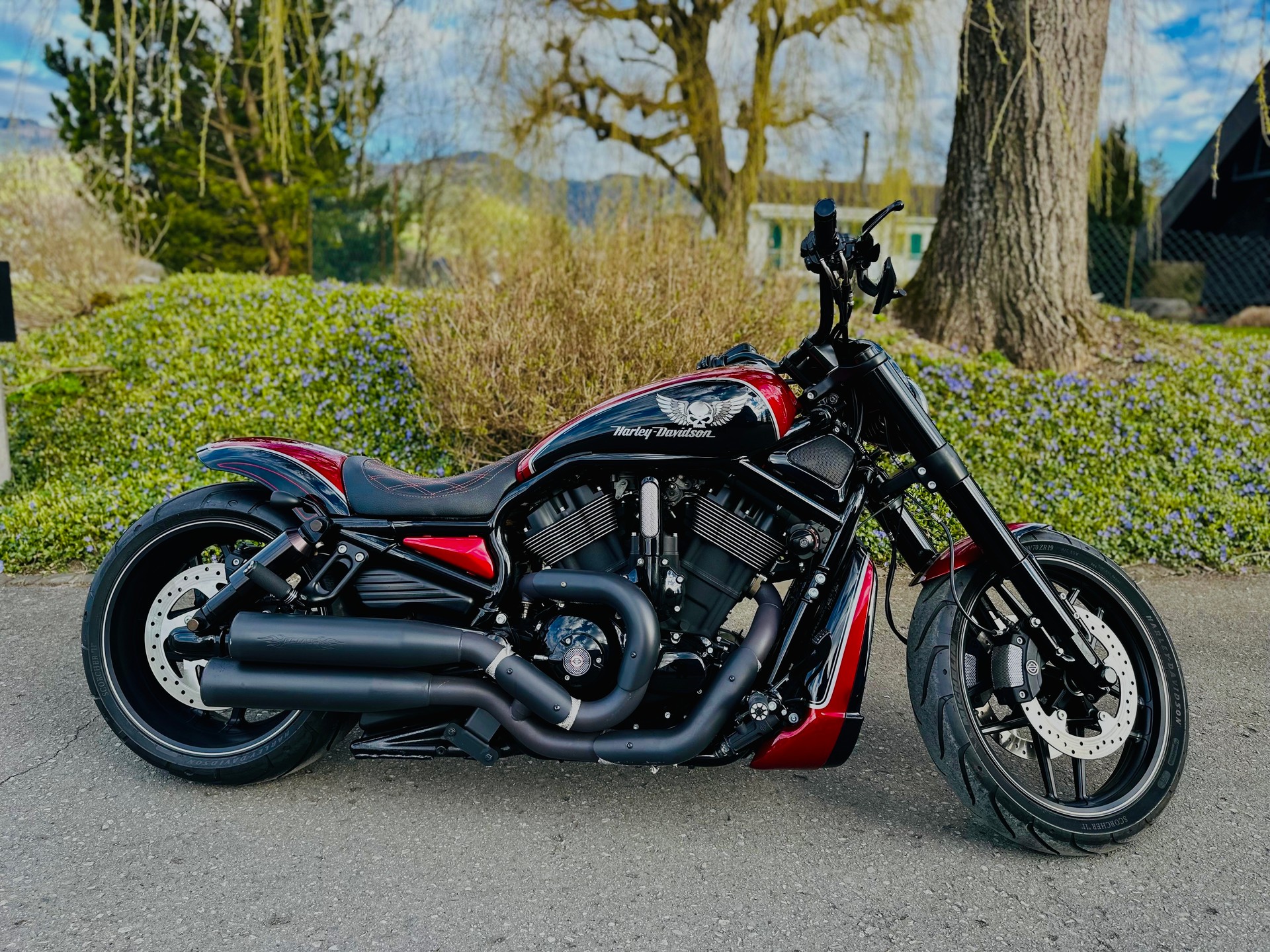 HARLEY-DAVIDSON VRSCDX Night Rod Special ABS-image-6