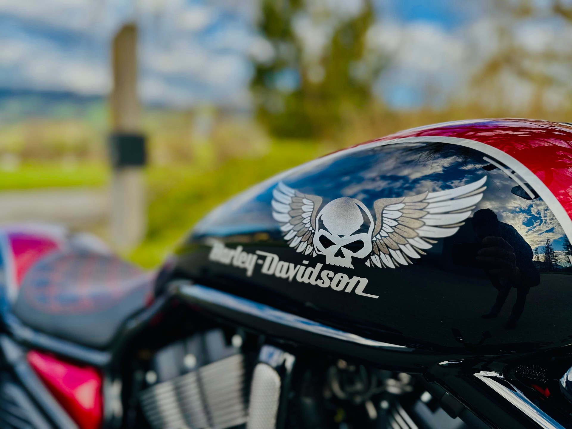 HARLEY-DAVIDSON VRSCDX Night Rod Special ABS-image-13