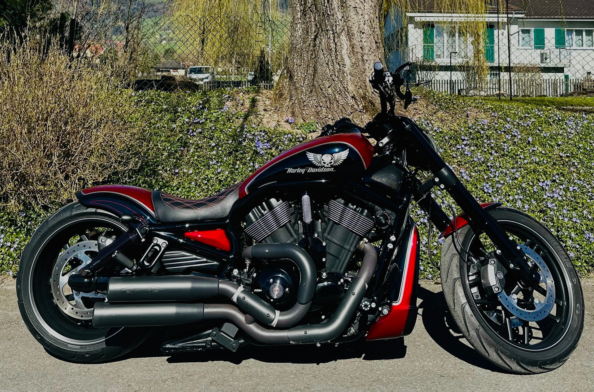 HARLEY-DAVIDSON VRSCDX Night Rod Special ABS-image-2