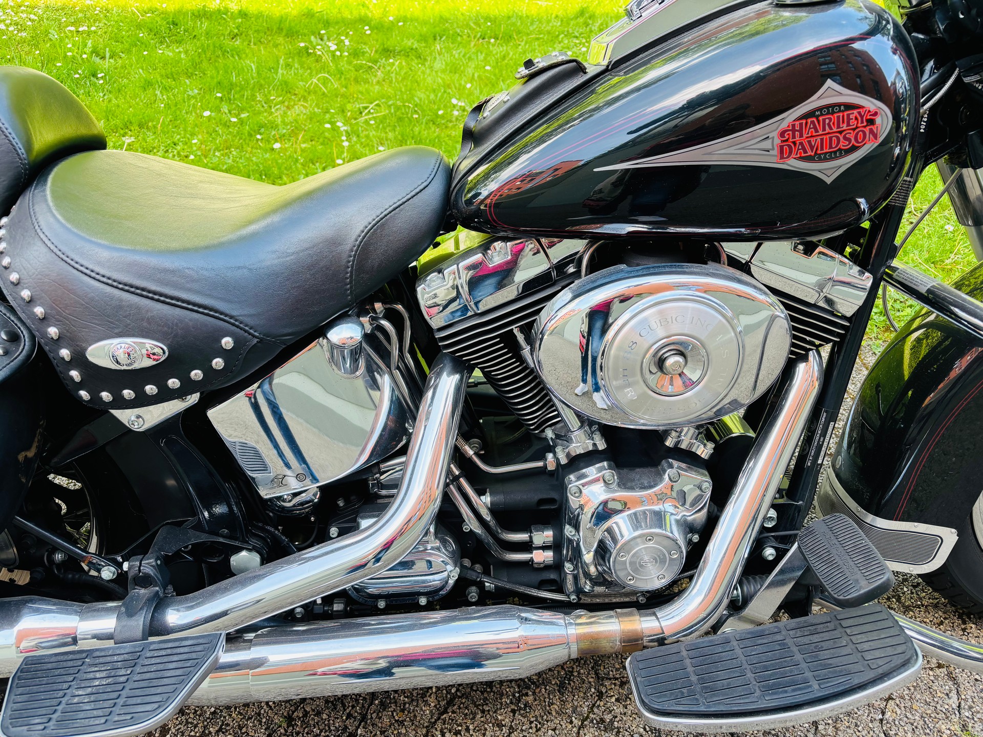 HARLEY-DAVIDSON FLSTC-image-1