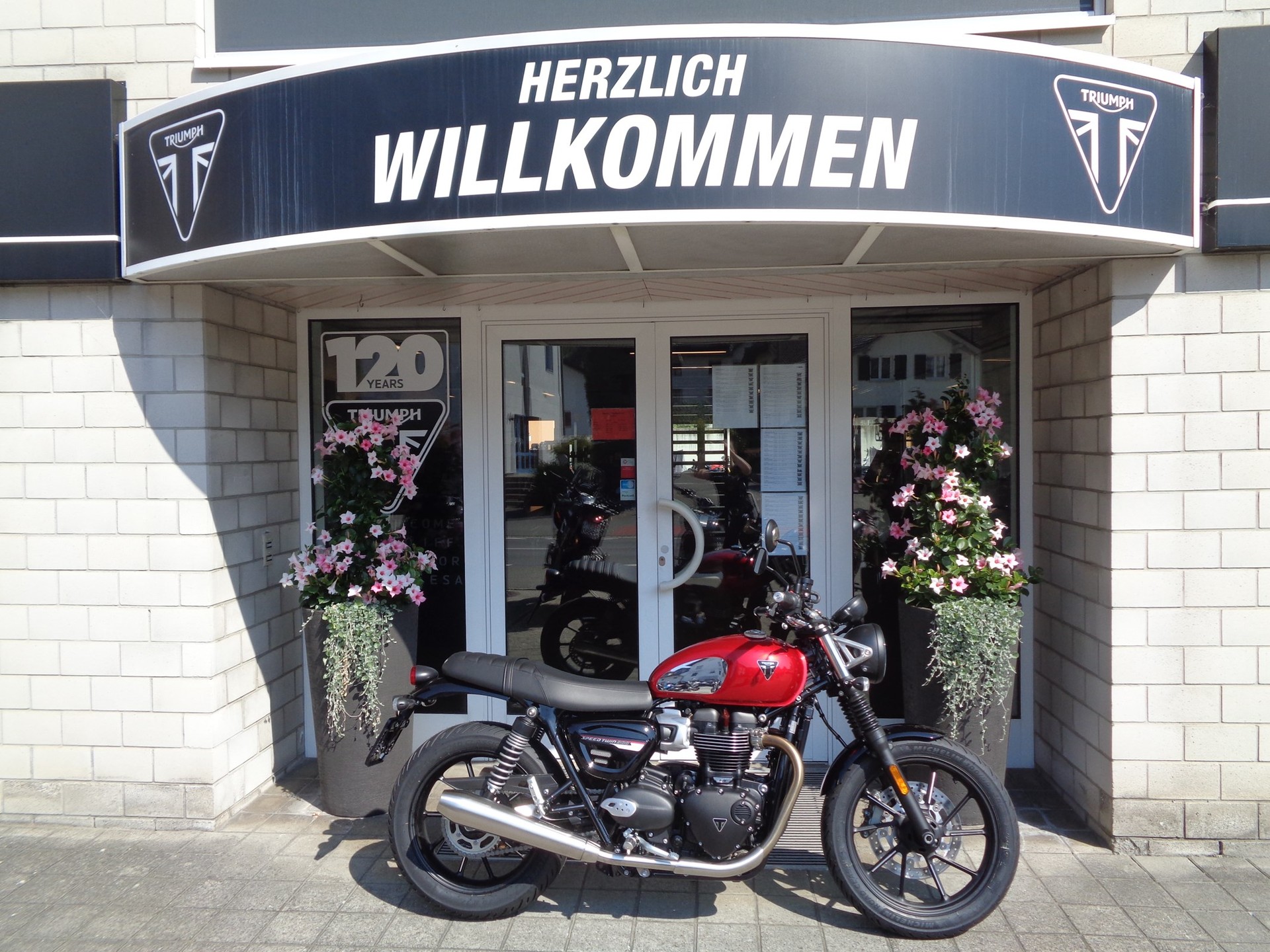 TRIUMPH Speed Twin 900-showroom-element-1