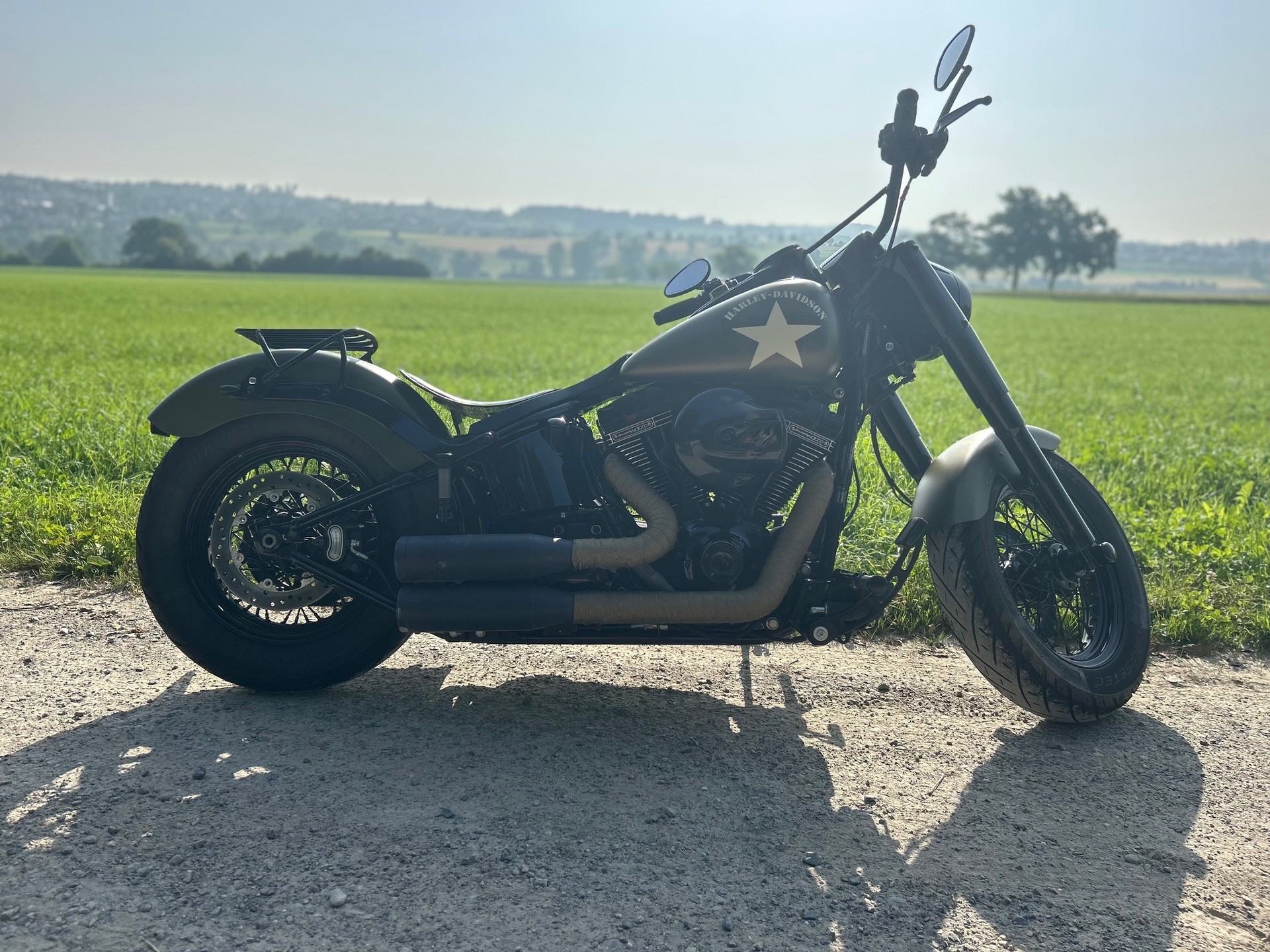 HARLEY-DAVIDSON FLSS Softail Slim S110 ABS-image-1