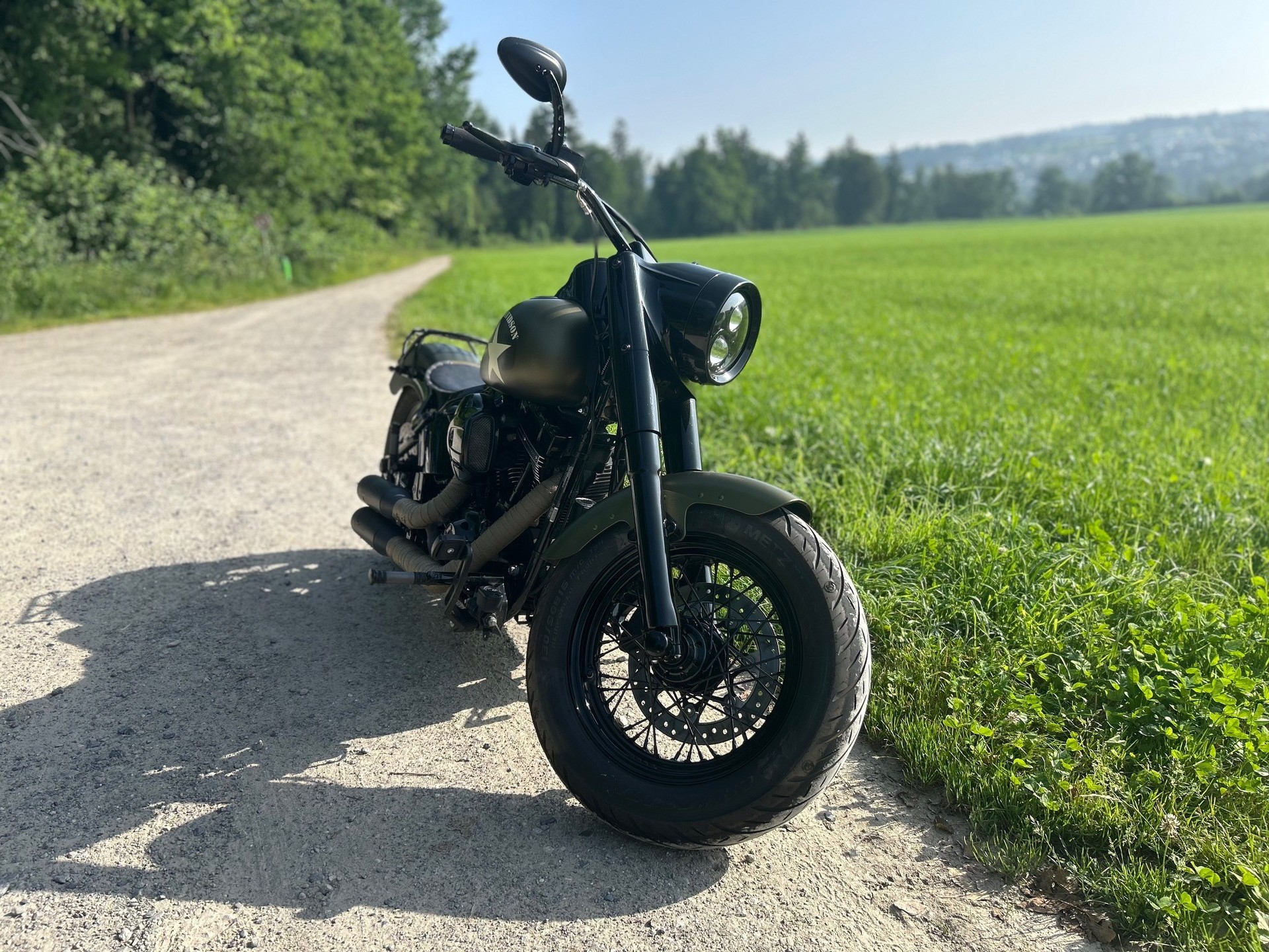 HARLEY-DAVIDSON FLSS Softail Slim S110 ABS-image-2