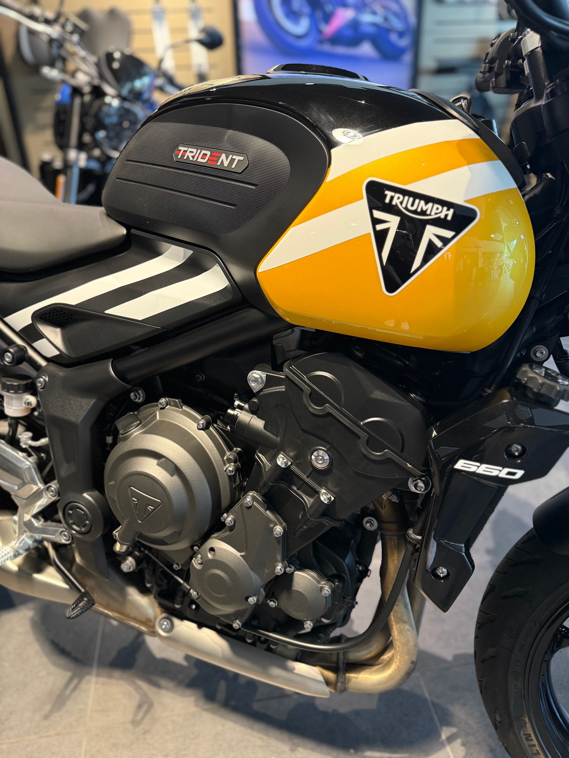 TRIUMPH Trident 660-showroom-element-2