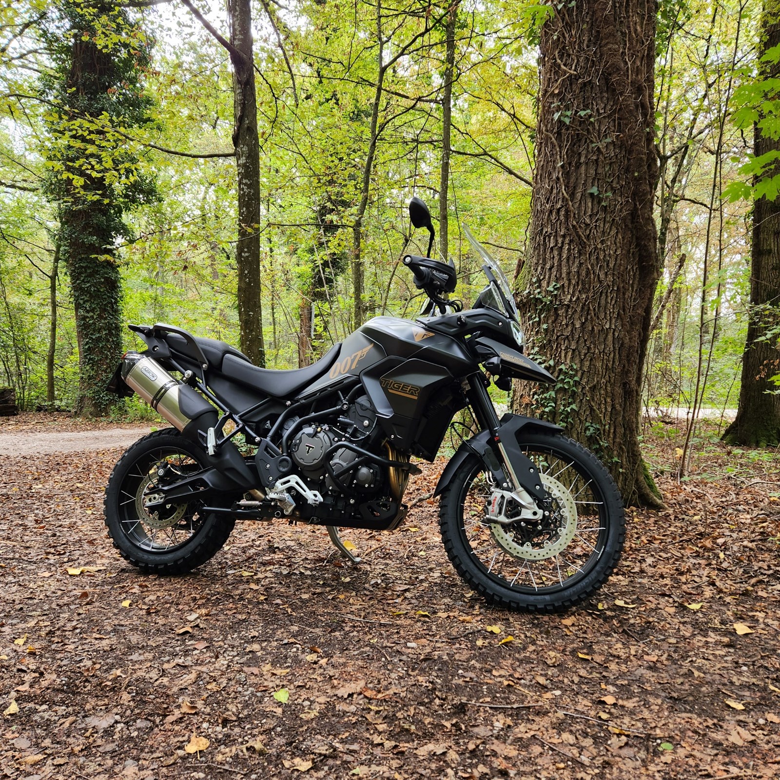 TRIUMPH Tiger 900 Rally Pro Bond Edition-image-0