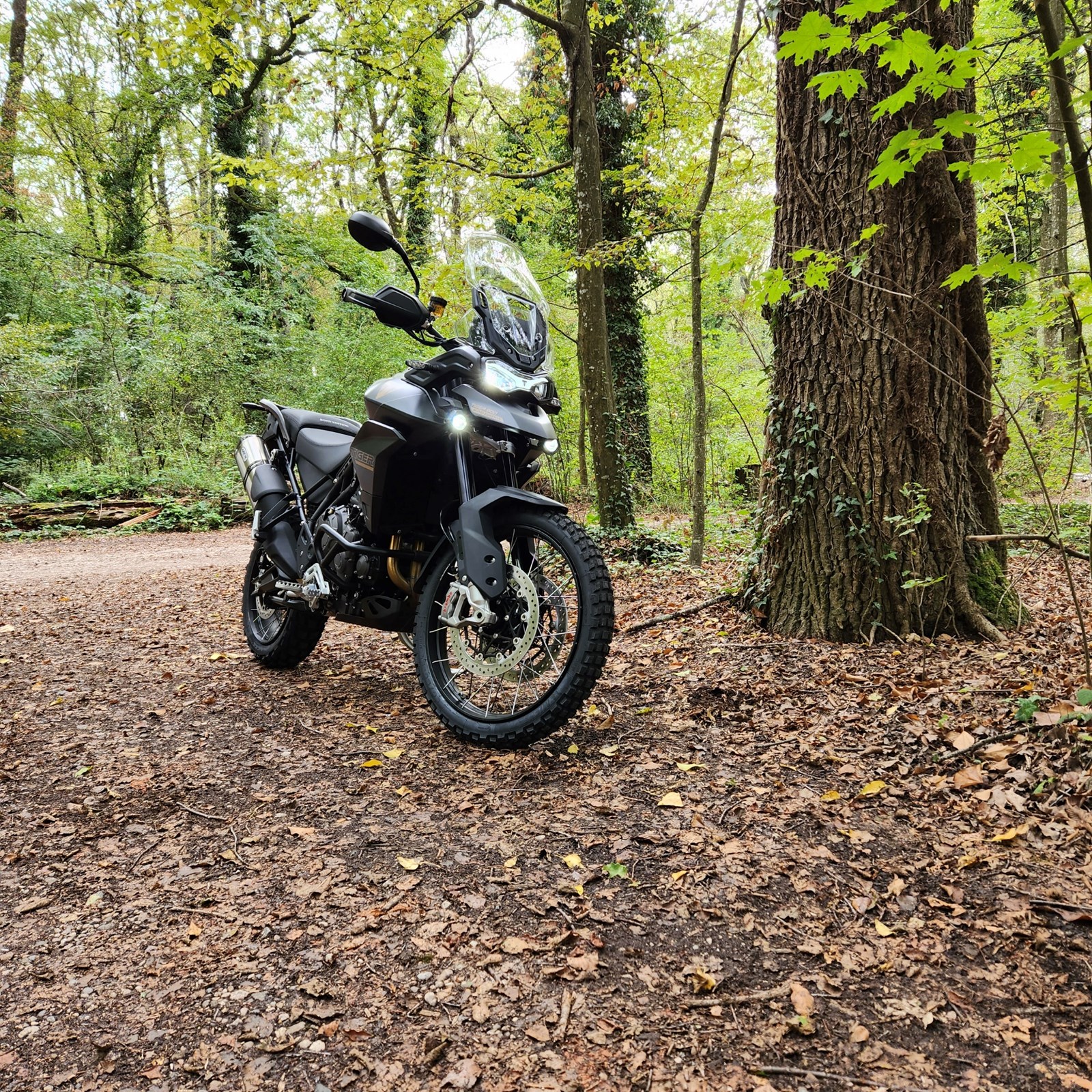 TRIUMPH Tiger 900 Rally Pro Bond Edition-image-1