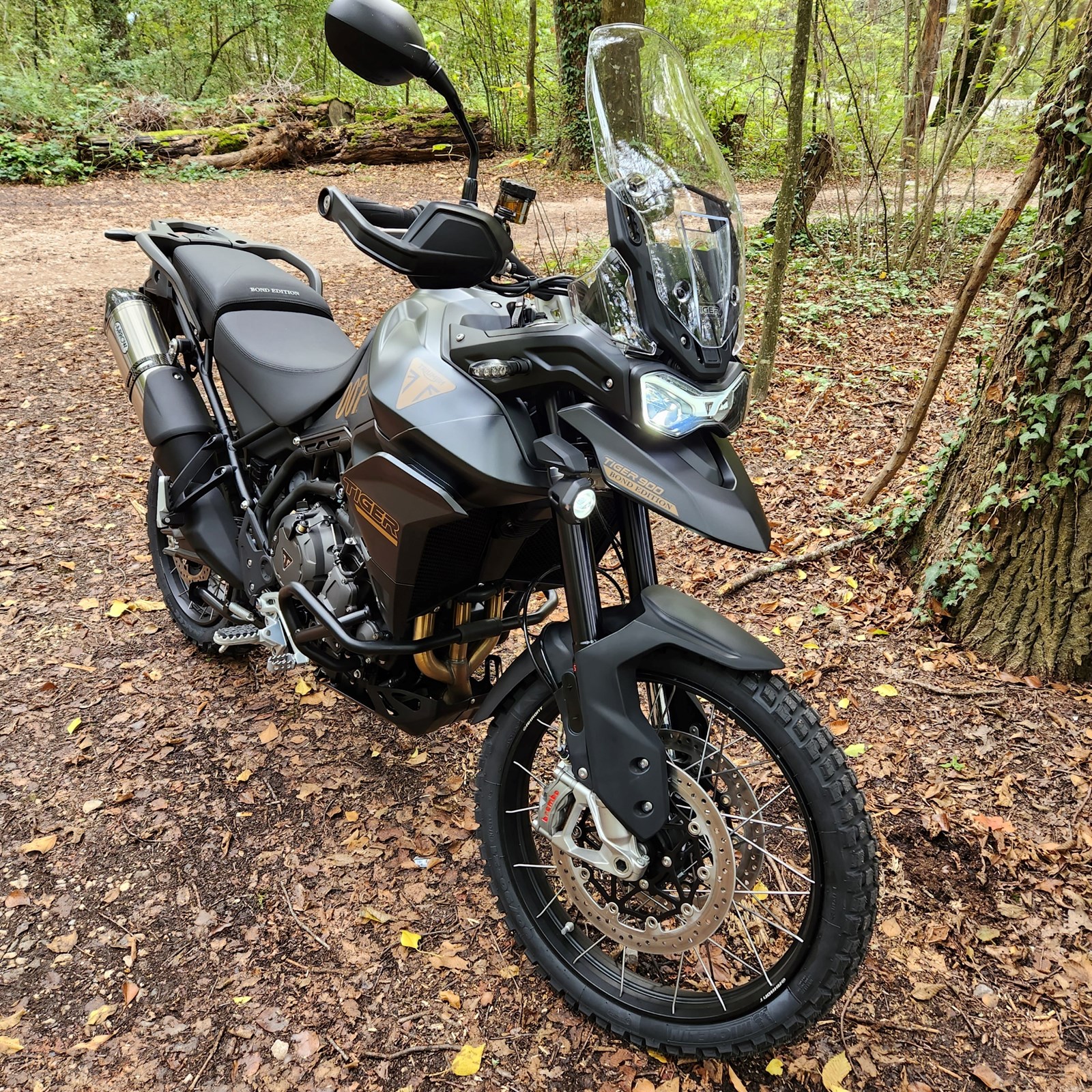 TRIUMPH Tiger 900 Rally Pro Bond Edition-image-3