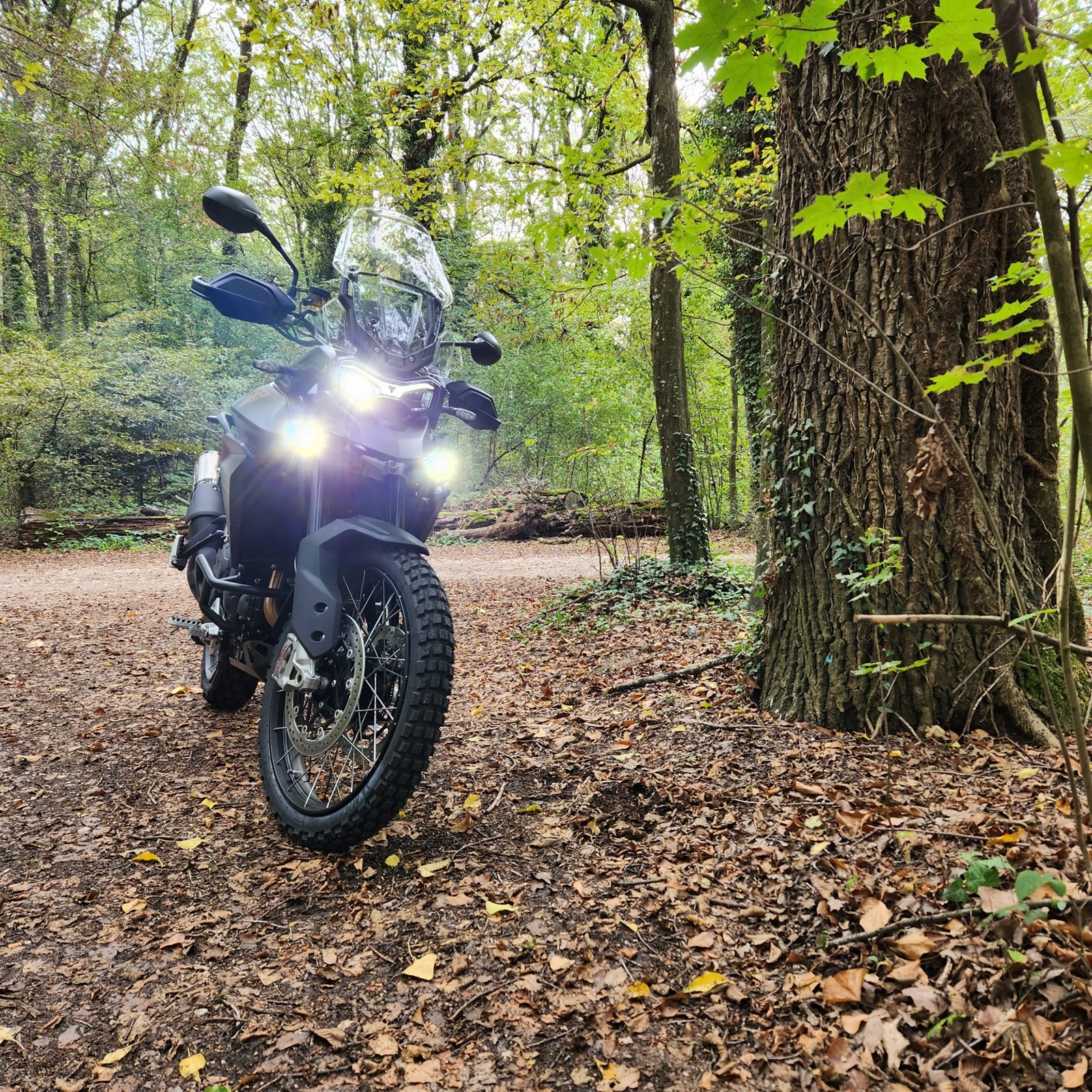TRIUMPH Tiger 900 Rally Pro Bond Edition-image-4